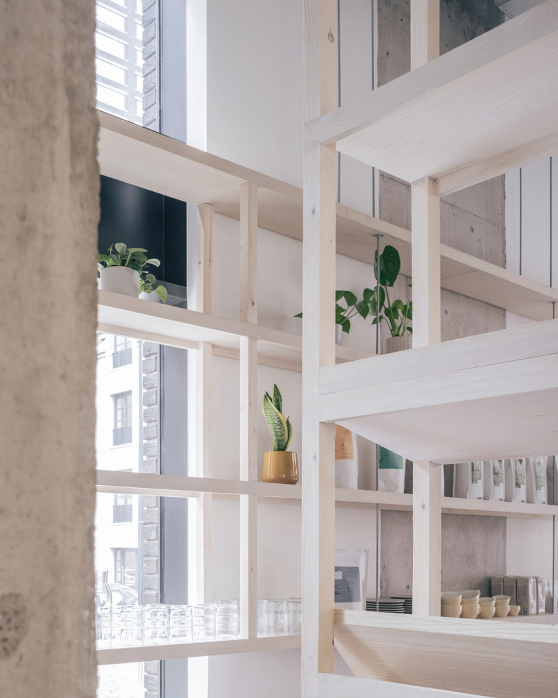A clean and inviting interior space with wooden shelves and cabinets, surrounded by potted plants and decorative vases