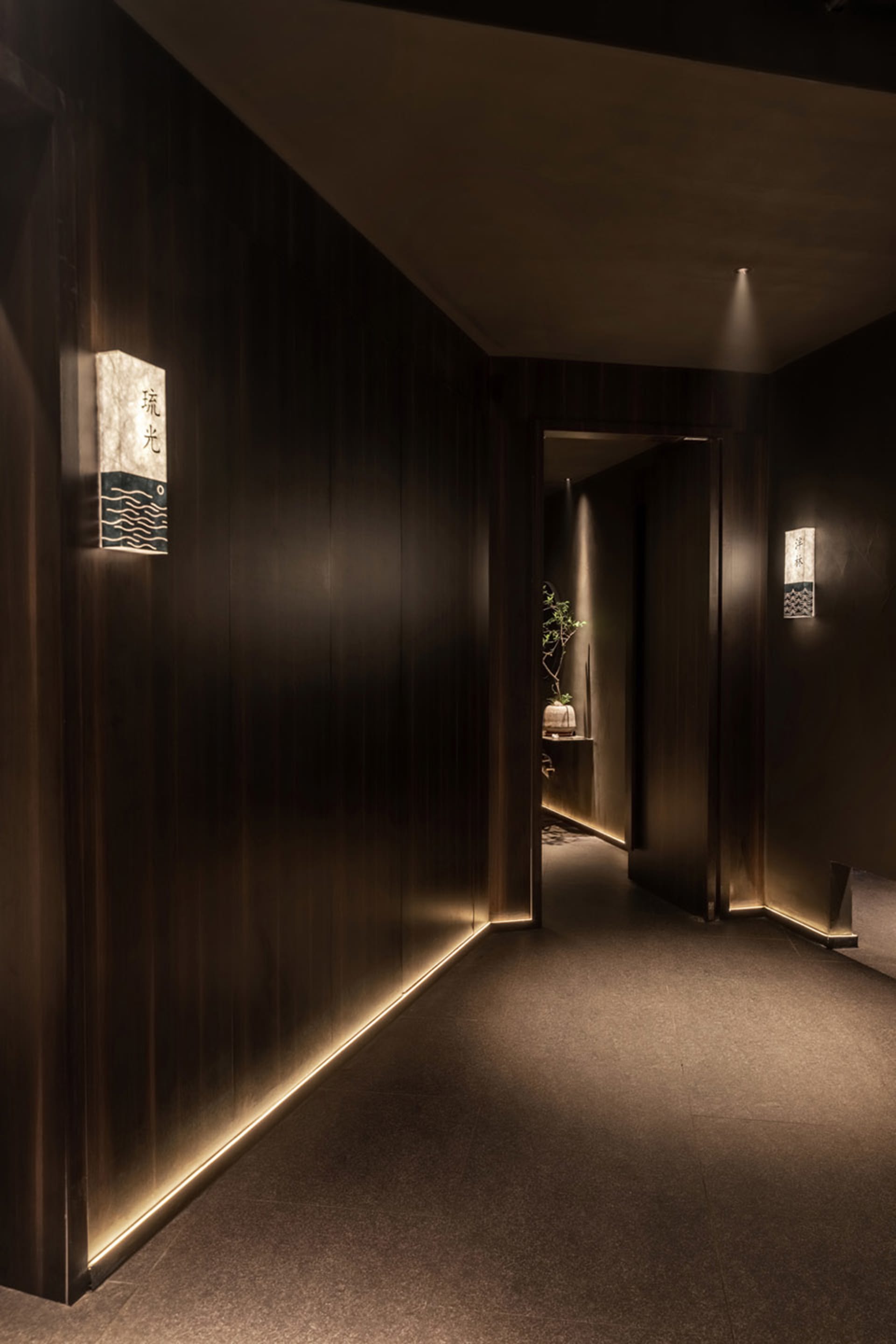 Dark hallway with wooden walls and floors, lit by two side lights and featuring three potted plants