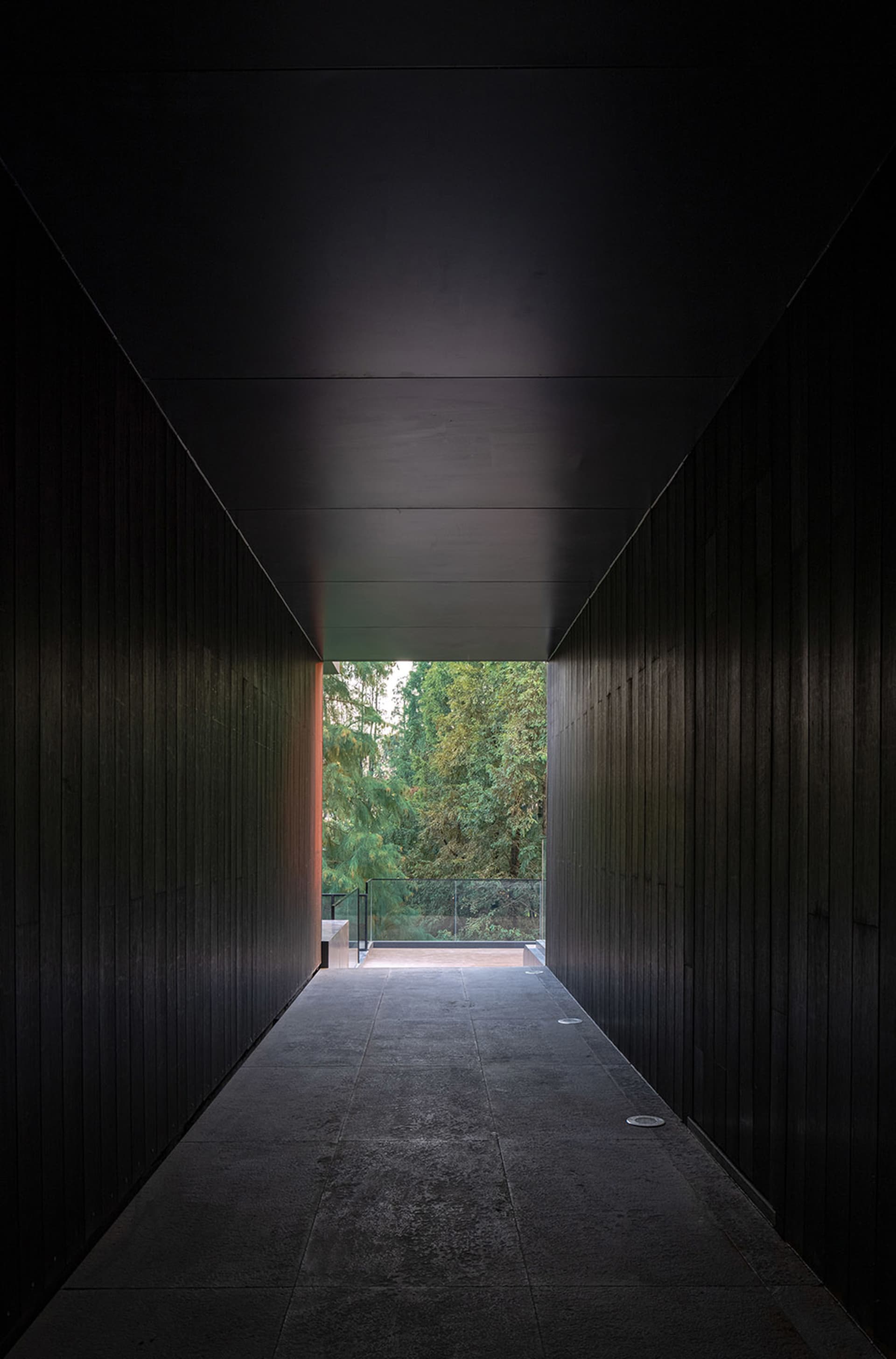 A dark hallway with a black doorway leading to a room with trees visible through it