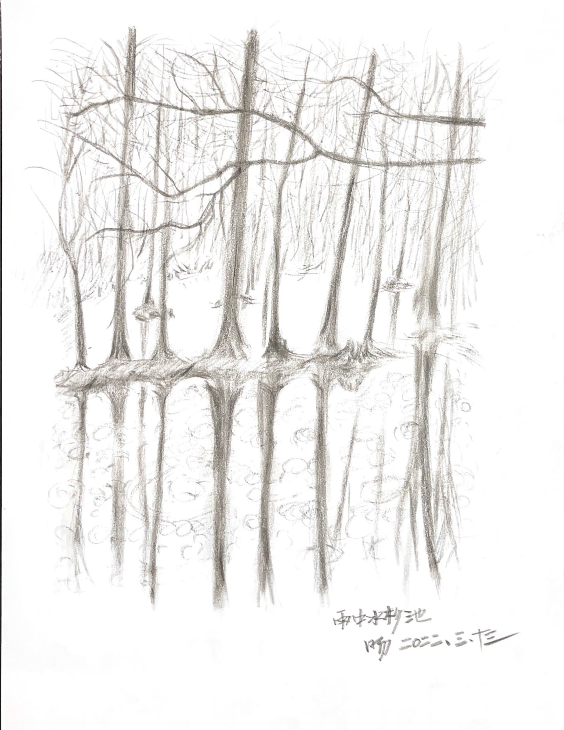 A whimsical forest landscape with trees and branches drawn in various positions to create a sense of depth and dimension