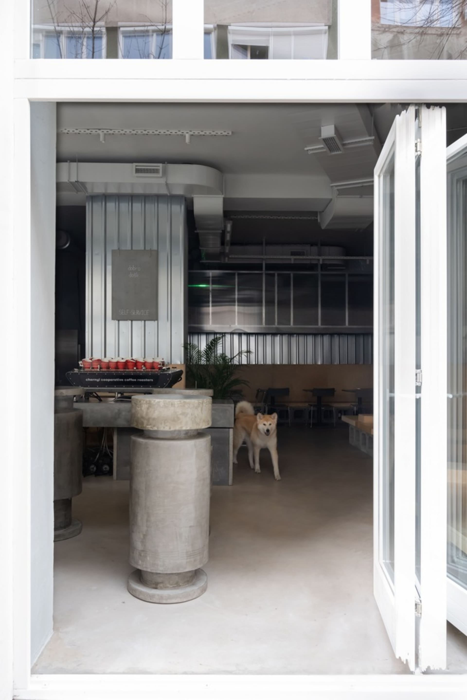 A casual restaurant interior with a dog in the center, surrounded by chairs and tables, with a potted plant on the left and a relaxed atmosphere