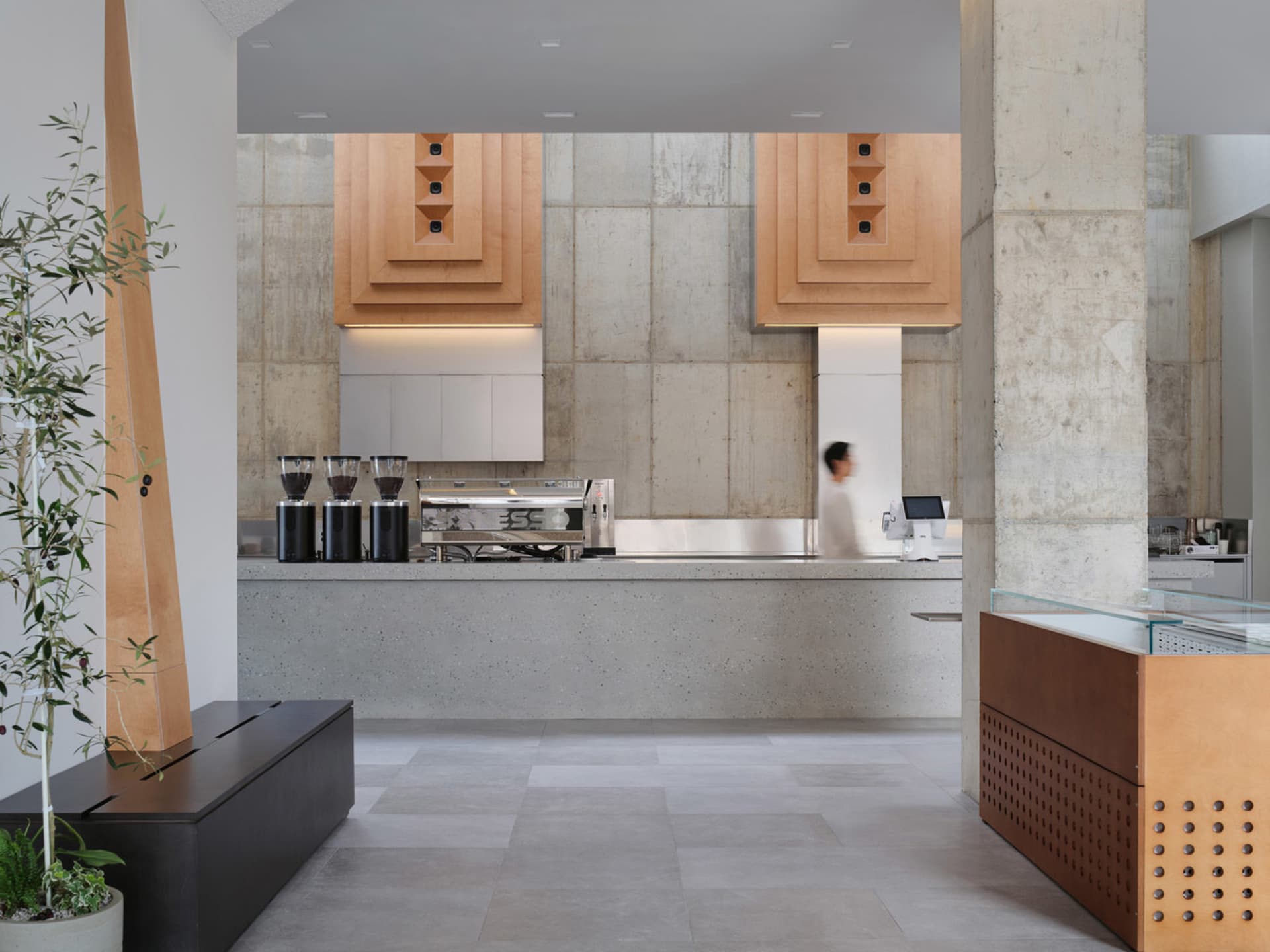 Industrial kitchen with concrete walls and floors, featuring multiple sinks, appliances, and cups, with a focus on functionality and organization