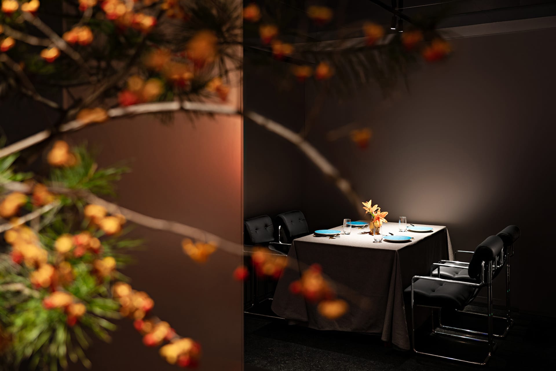 A well-lit dining area with a long table and multiple chairs, some with backs, surrounded by place settings and warm atmosphere