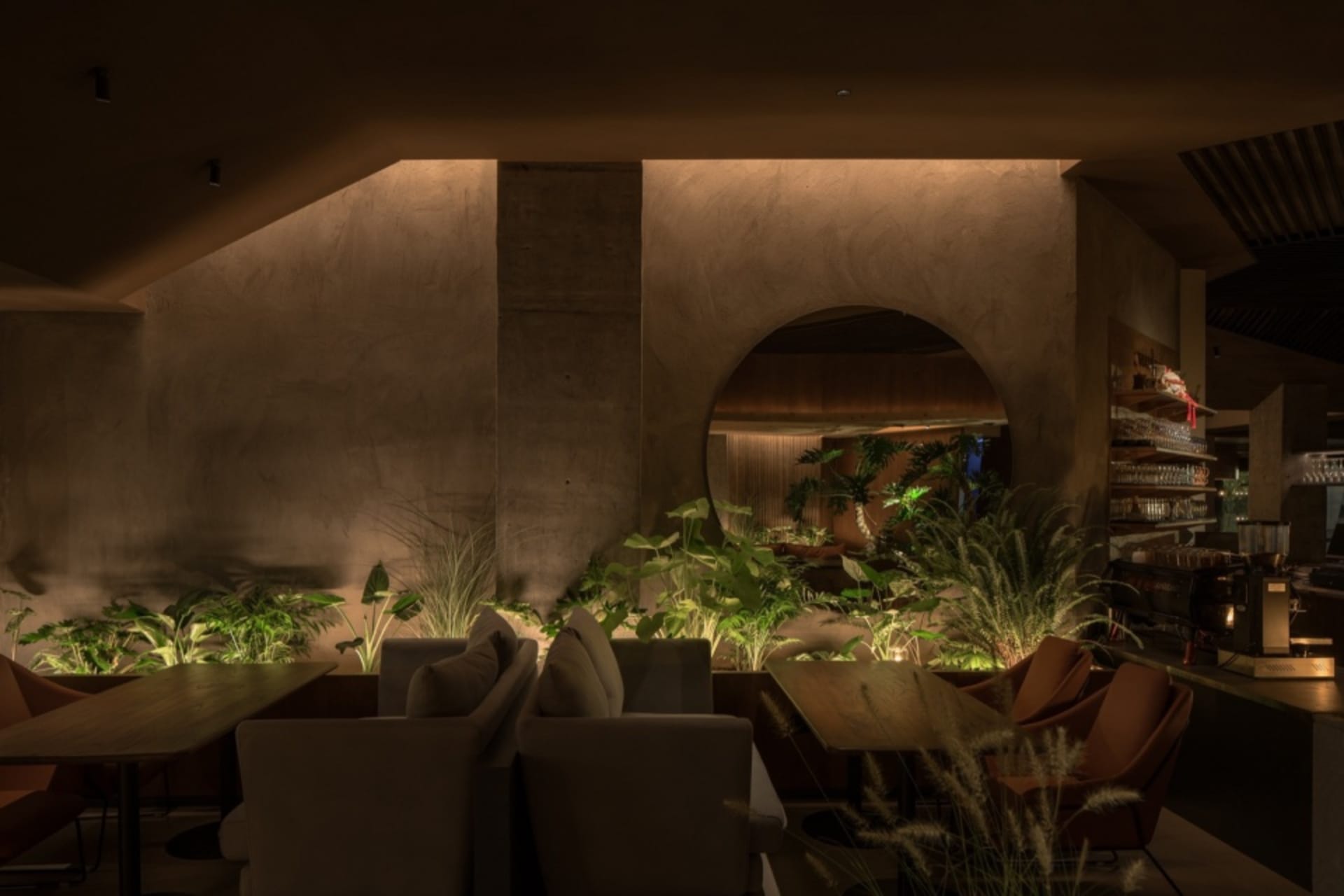 Cozy living space with plush furniture, potted plants, and a warm atmosphere