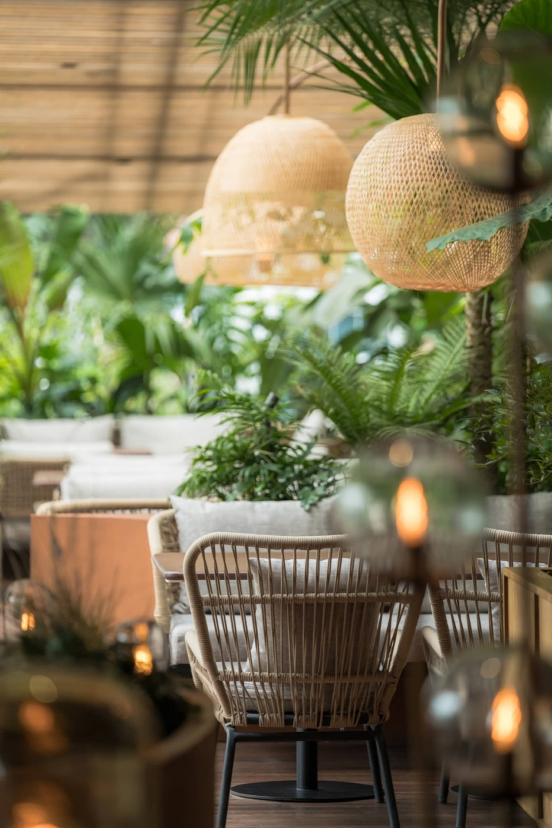 A relaxed outdoor seating area with wicker chairs, wooden tables, and potted plants, surrounded by a pleasant atmosphere