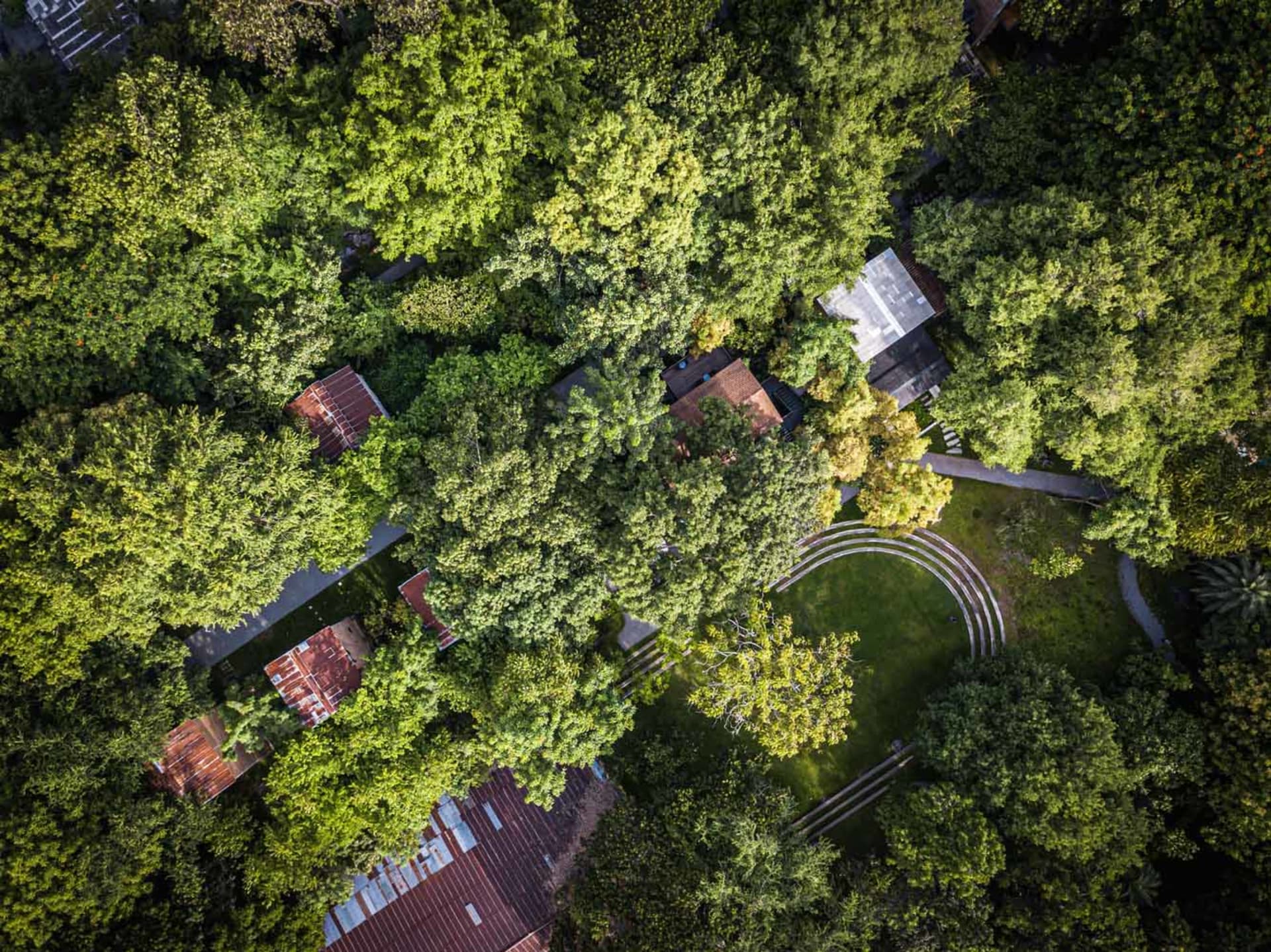 Aerial view of a serene residential area surrounded by trees with diverse houses and lush greenery