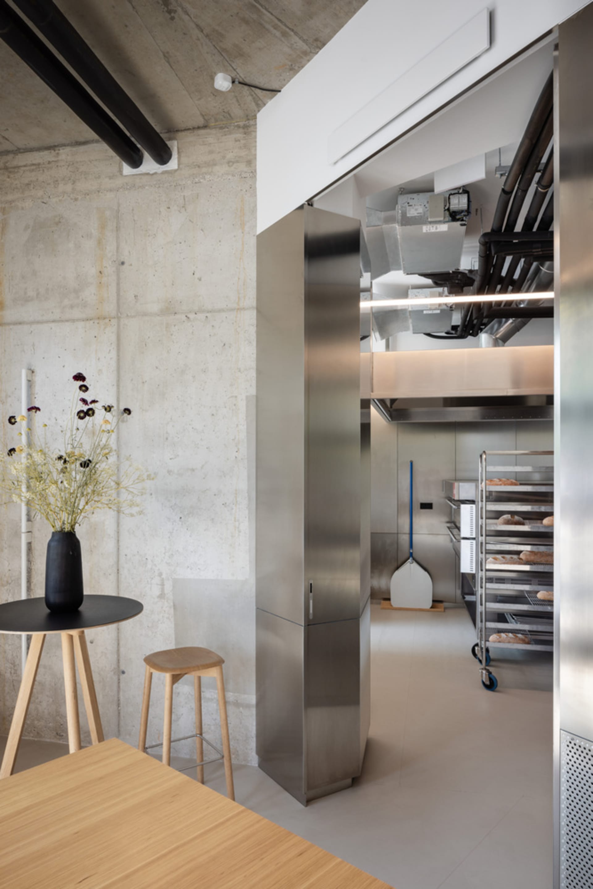Industrial kitchen with stainless steel walls and floors, featuring two ovens, a refrigerator, sink, and utensils, with a potted plant adding a touch of greenery