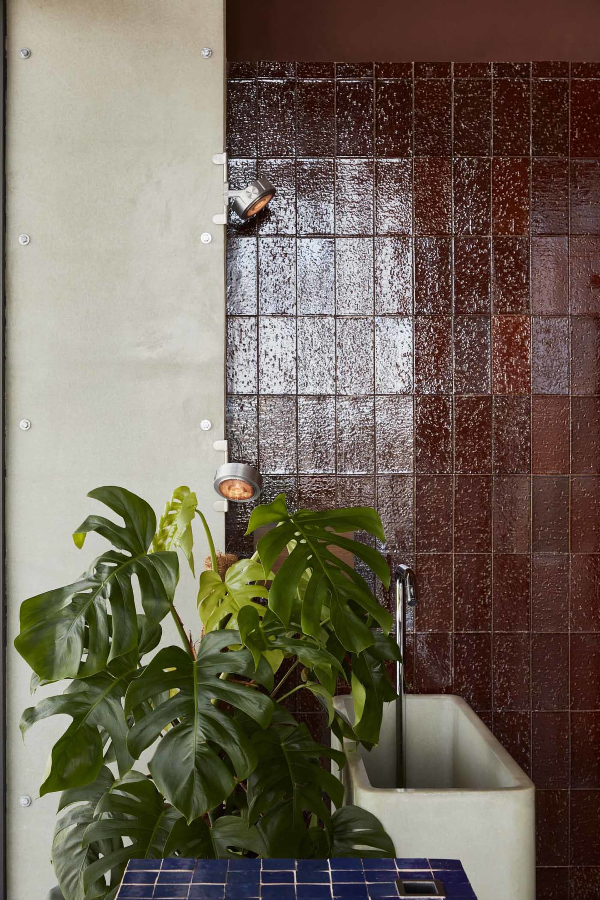Clean bathroom with a tile wall, two potted plants, and a sink, creating a well-maintained atmosphere