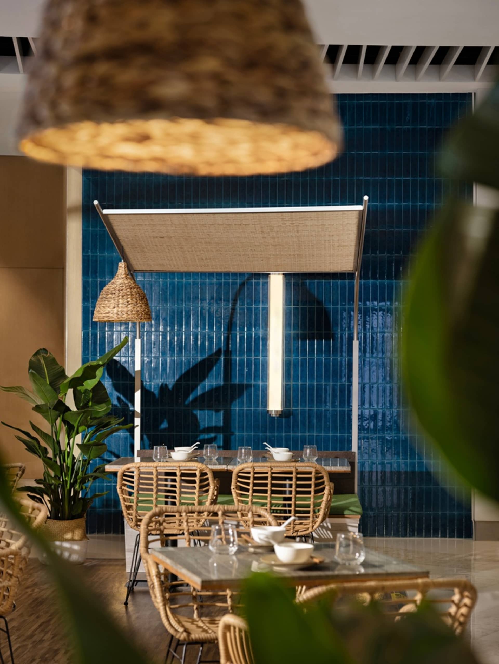 A modern restaurant interior with a dining area featuring tables, chairs, and potted plants, with blue walls and a relaxed atmosphere