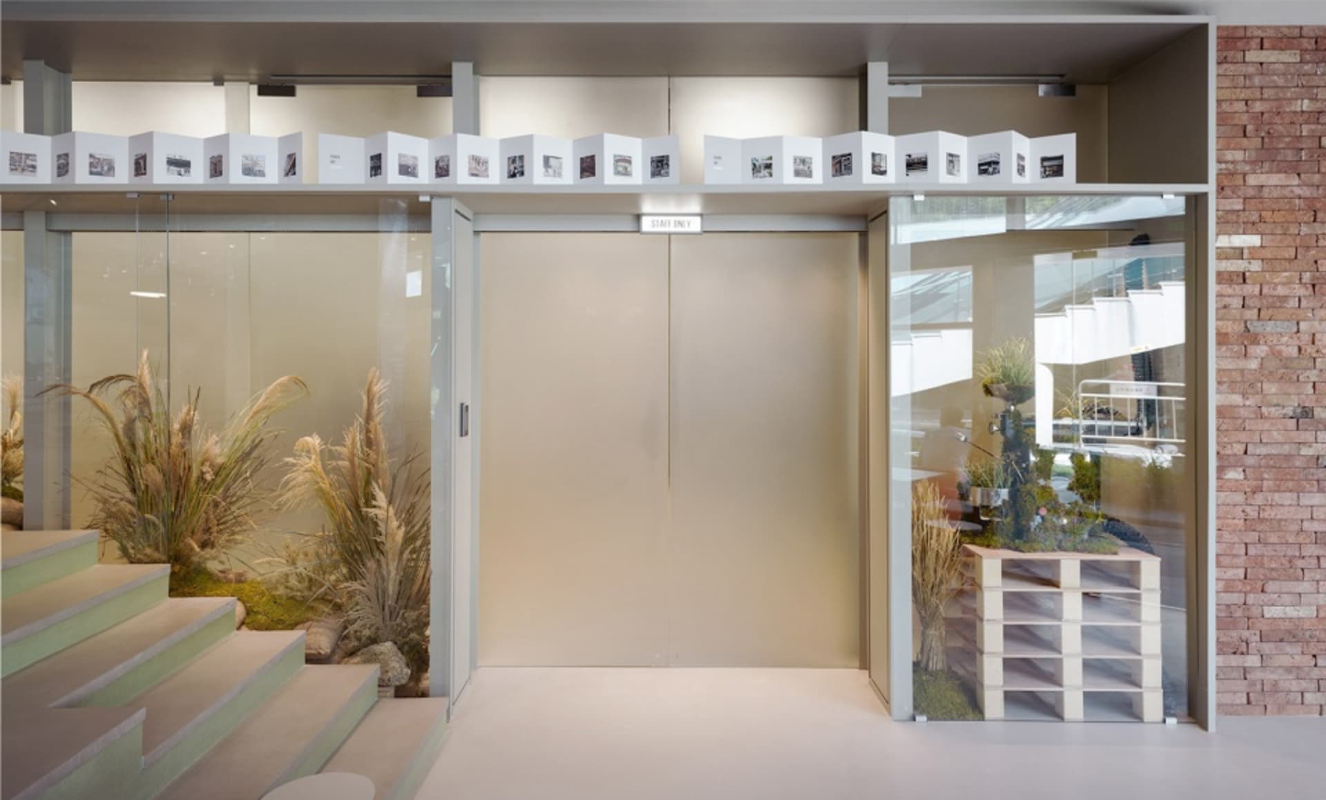 Modern office space with glass doors, a hallway, and framed artwork, featuring a potted plant and double doors on either side