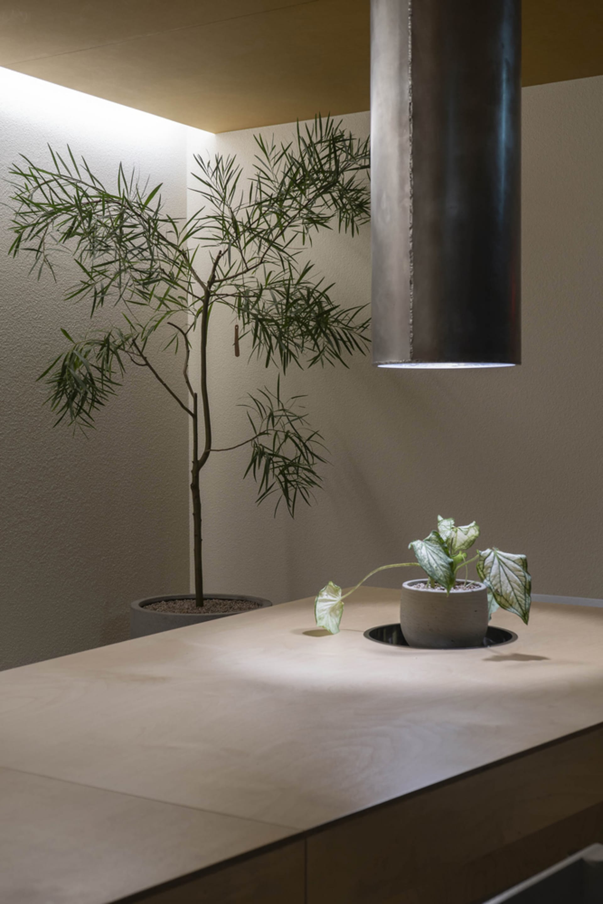 A small indoor space with a wooden table, potted plants, and a vase, creating a cozy and inviting atmosphere with a focus on greenery and natural elements