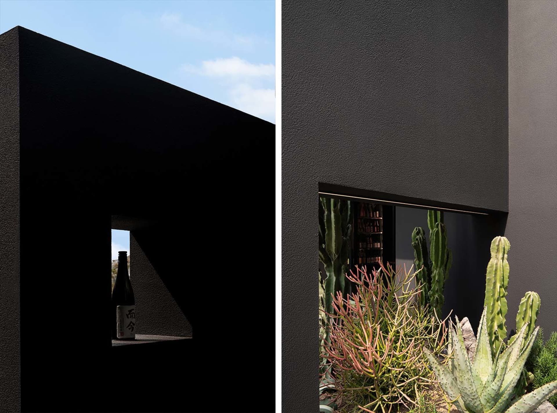 Modern interior design with potted plants and a cactus near a window, featuring clean lines and simplicity
