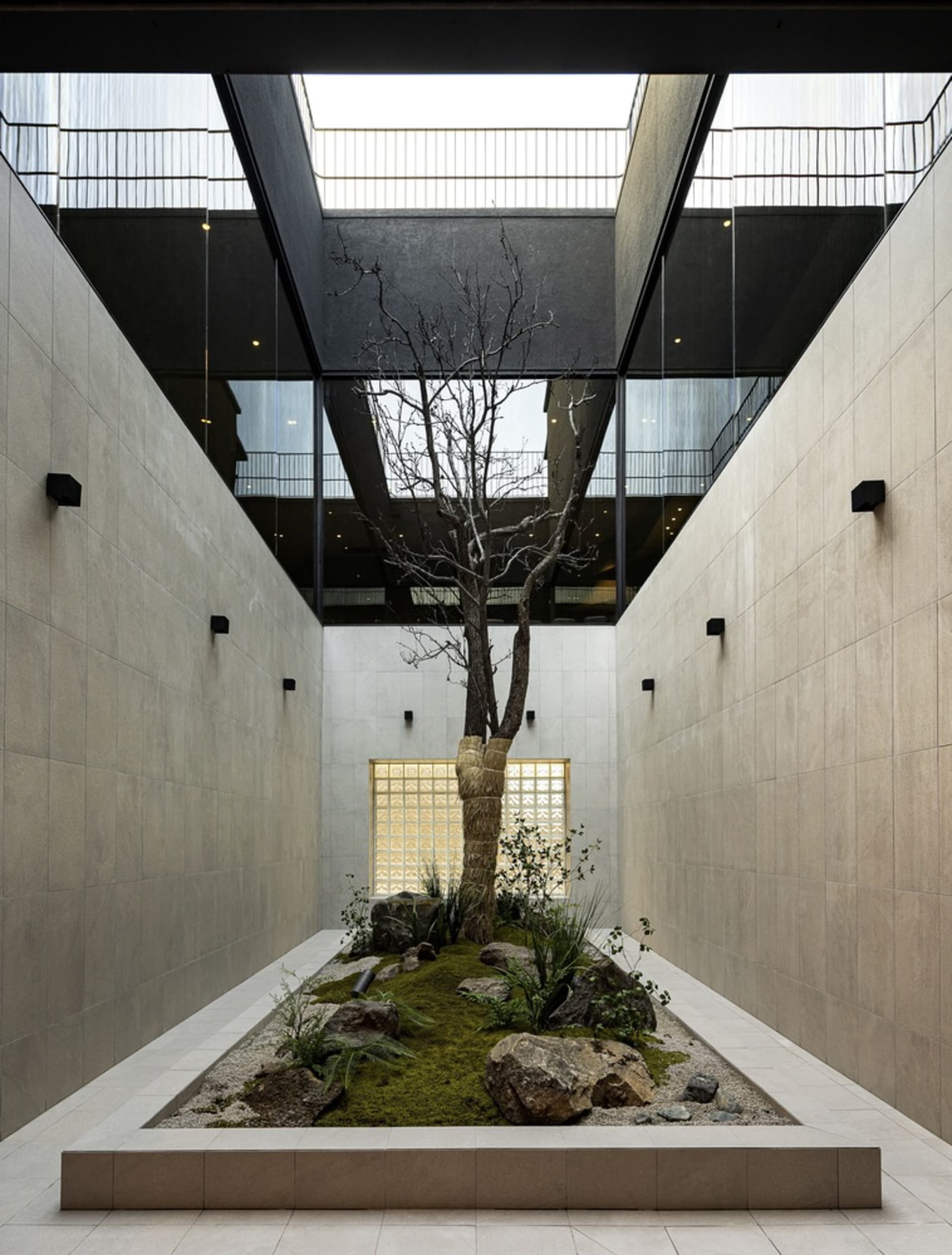 A modern living space with a large tree in the center, surrounded by potted plants and a blend of natural and modern design elements