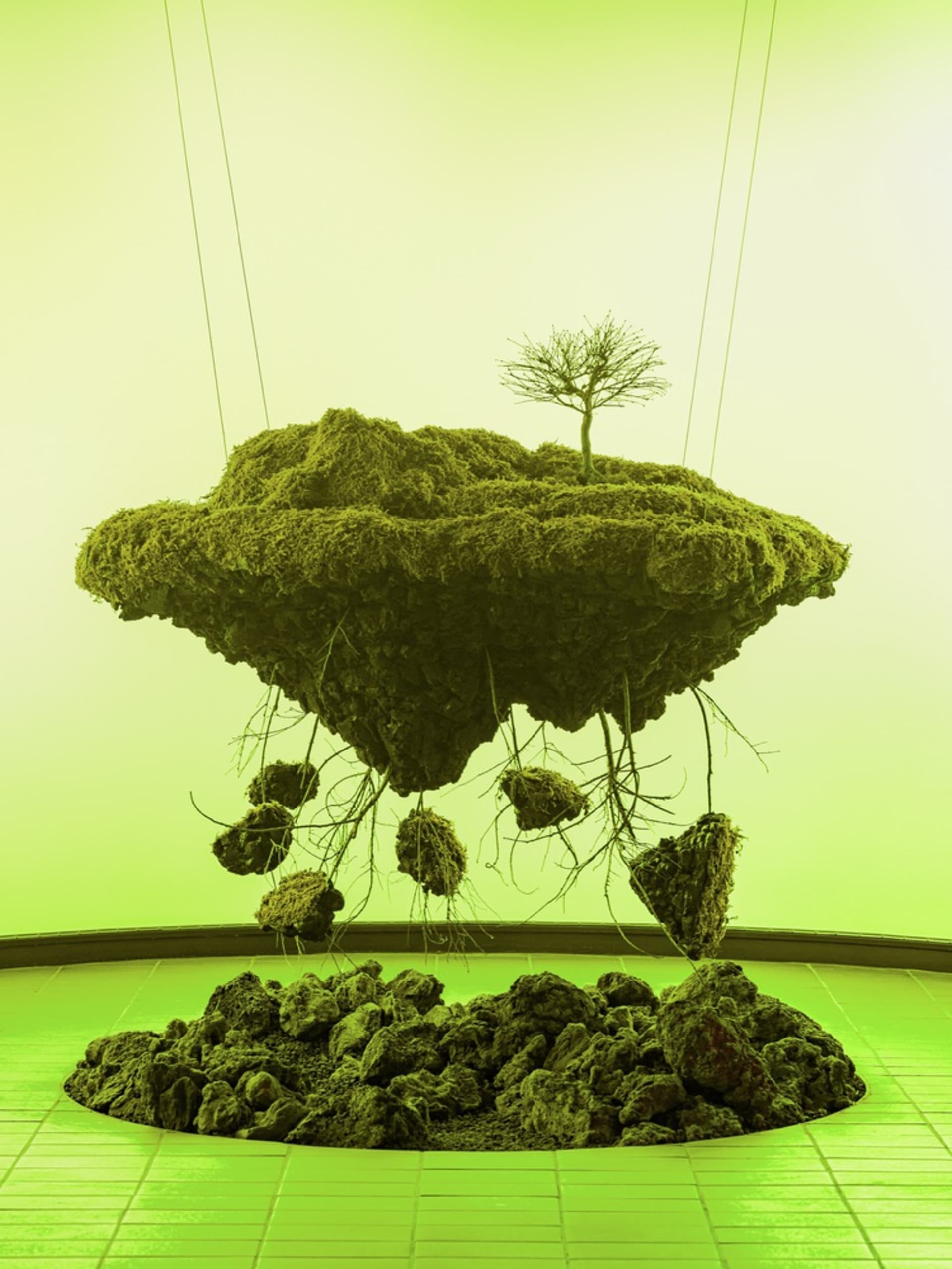 A surreal and imaginative scene of a tree growing in a rocky environment with natural sunlight and earth tones