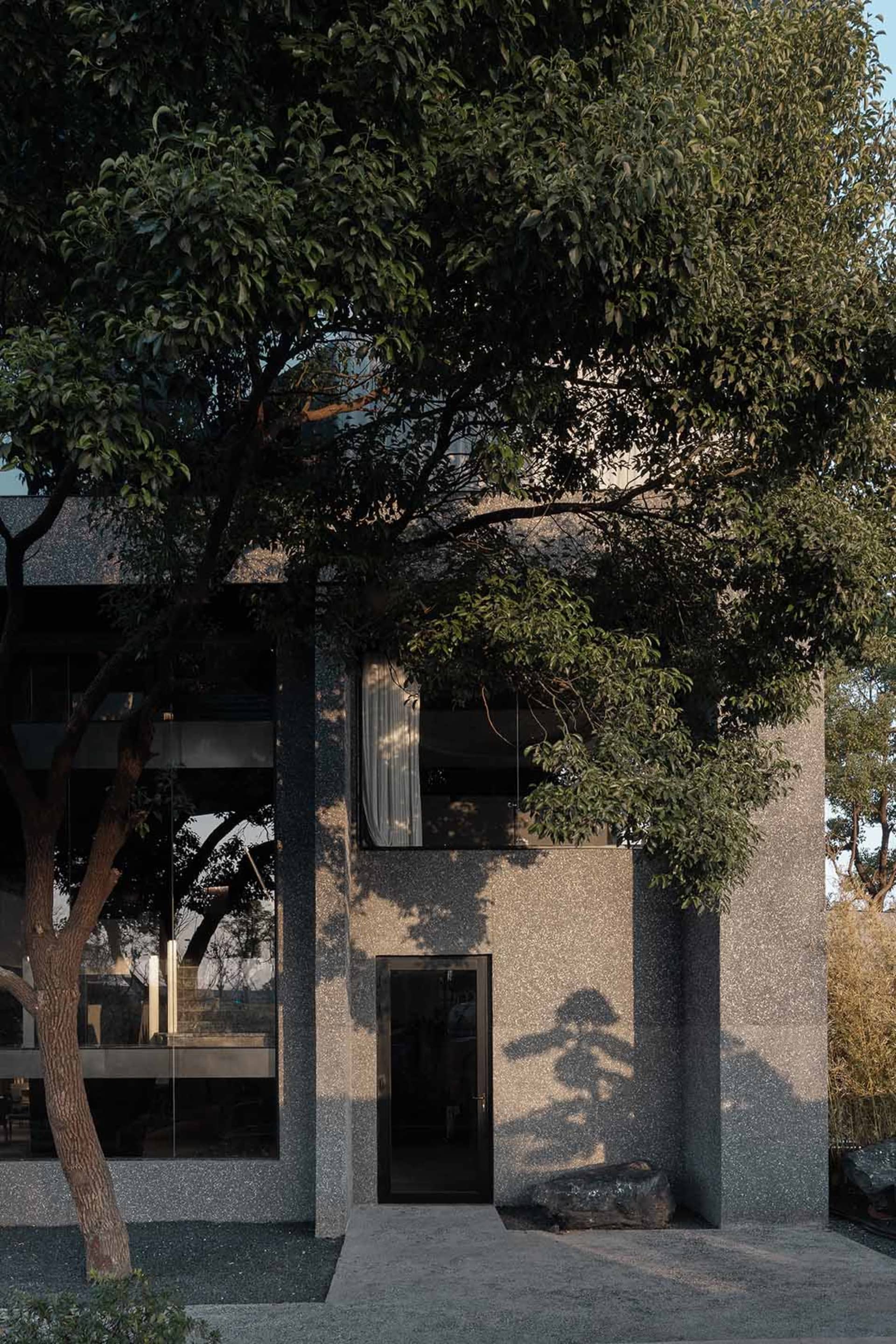 A gray building with a tree in front, casting a shadow on its surface, and people present in the scene