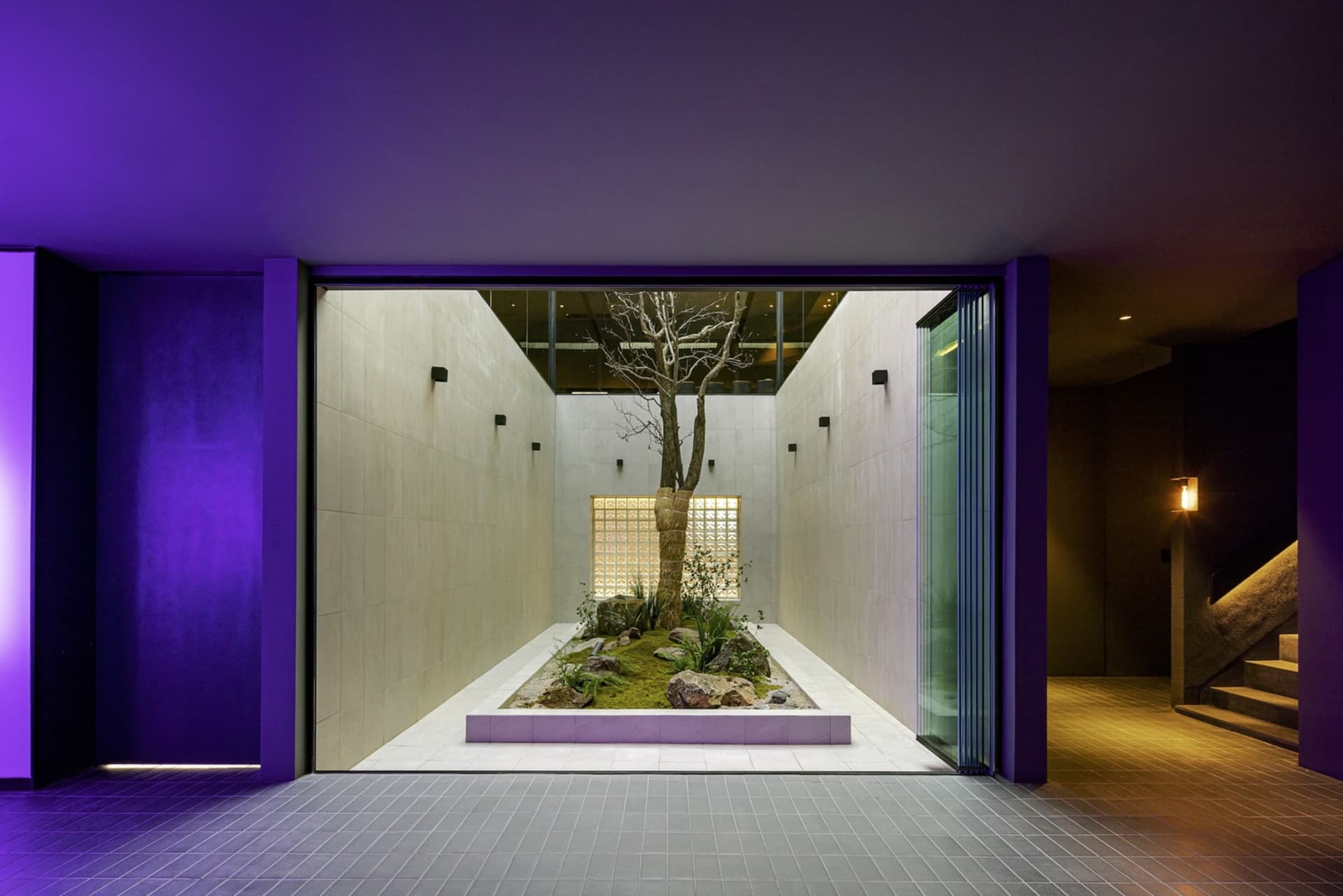 A modern lobby with purple walls, a tree in the center, and a bench, with natural light entering through large windows