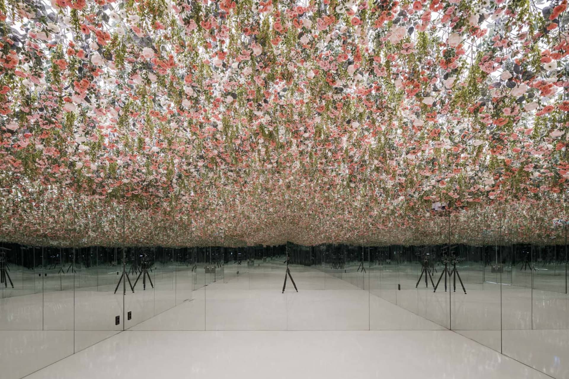 A warm and inviting cafe space filled with pink flowers hanging from the ceiling, creating a unique atmosphere