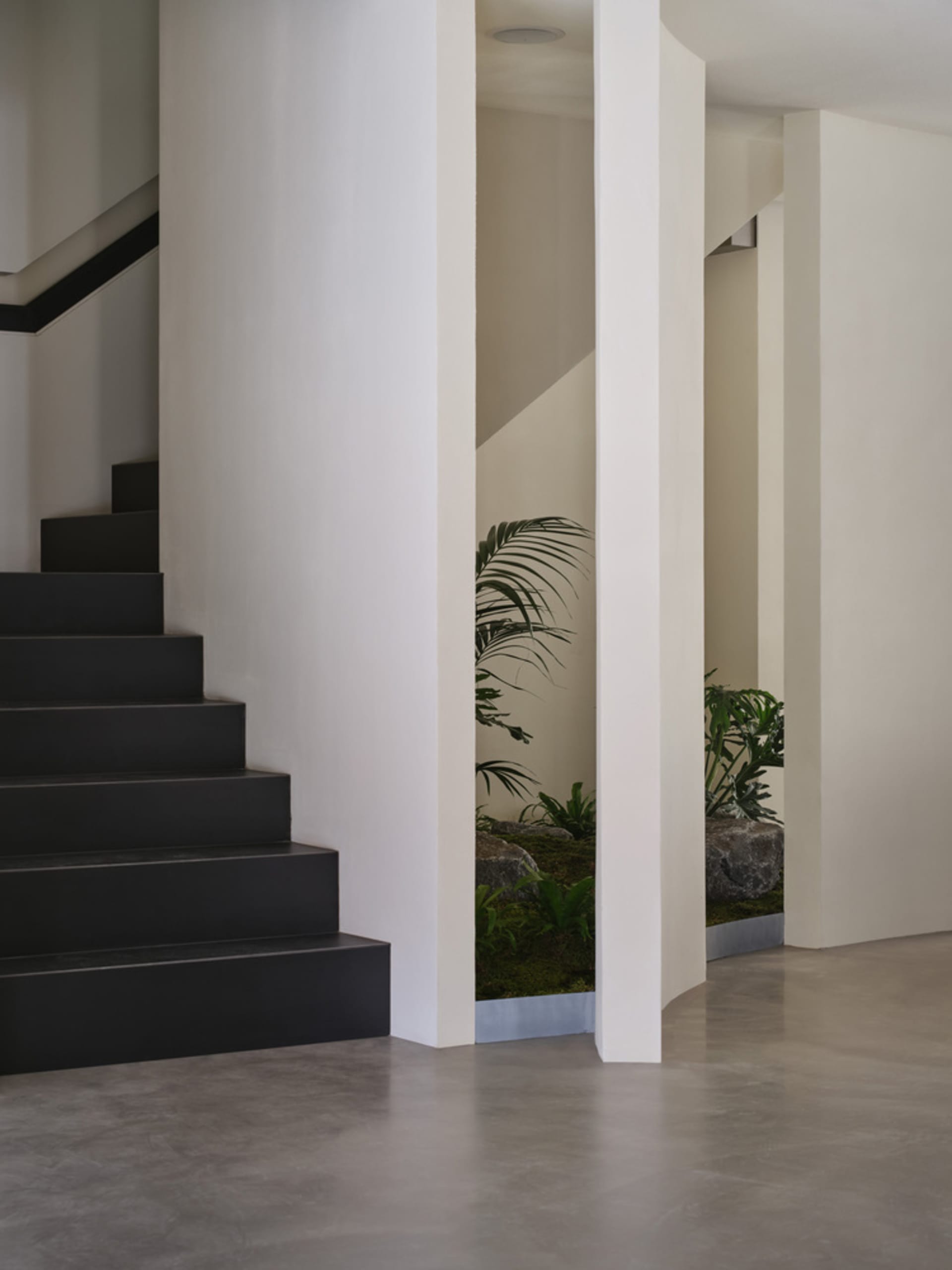 A warm and inviting staircase with wood steps, flanked by two potted plants, one on either side