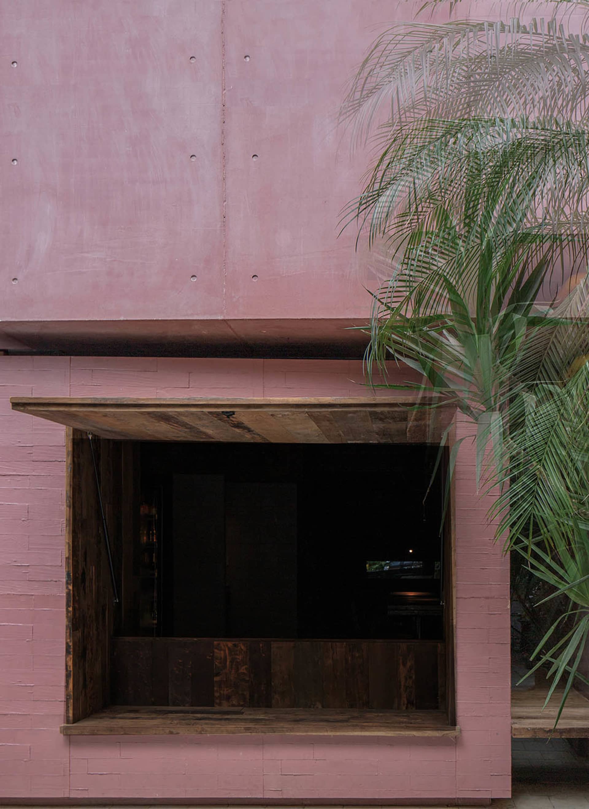 A dark interior space with a wooden doorway, two potted plants, and a cozy atmosphere