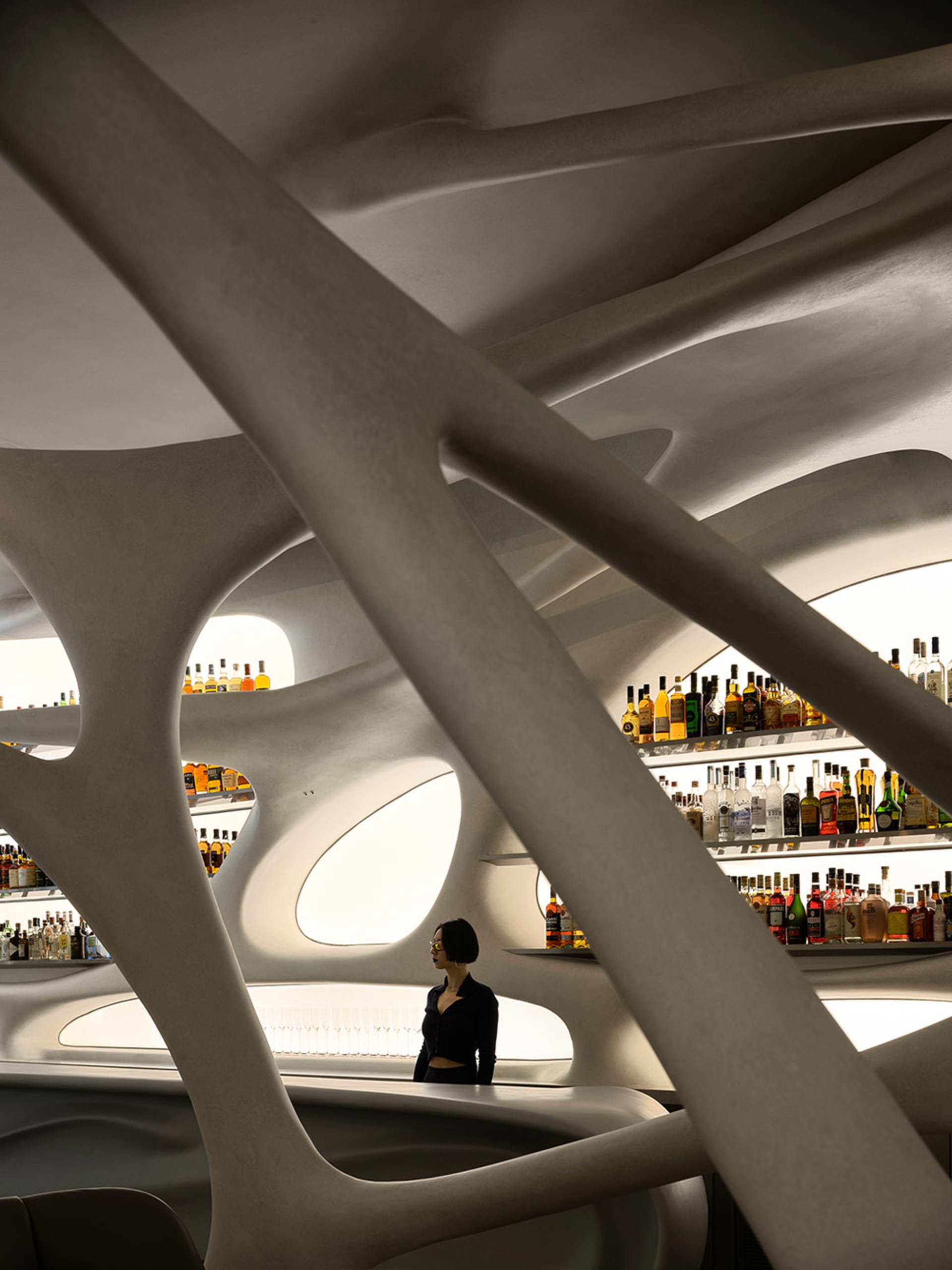 A woman stands behind a bar with shelves displaying bottles in various positions, creating a cozy atmosphere for patrons to enjoy drinks and socialize