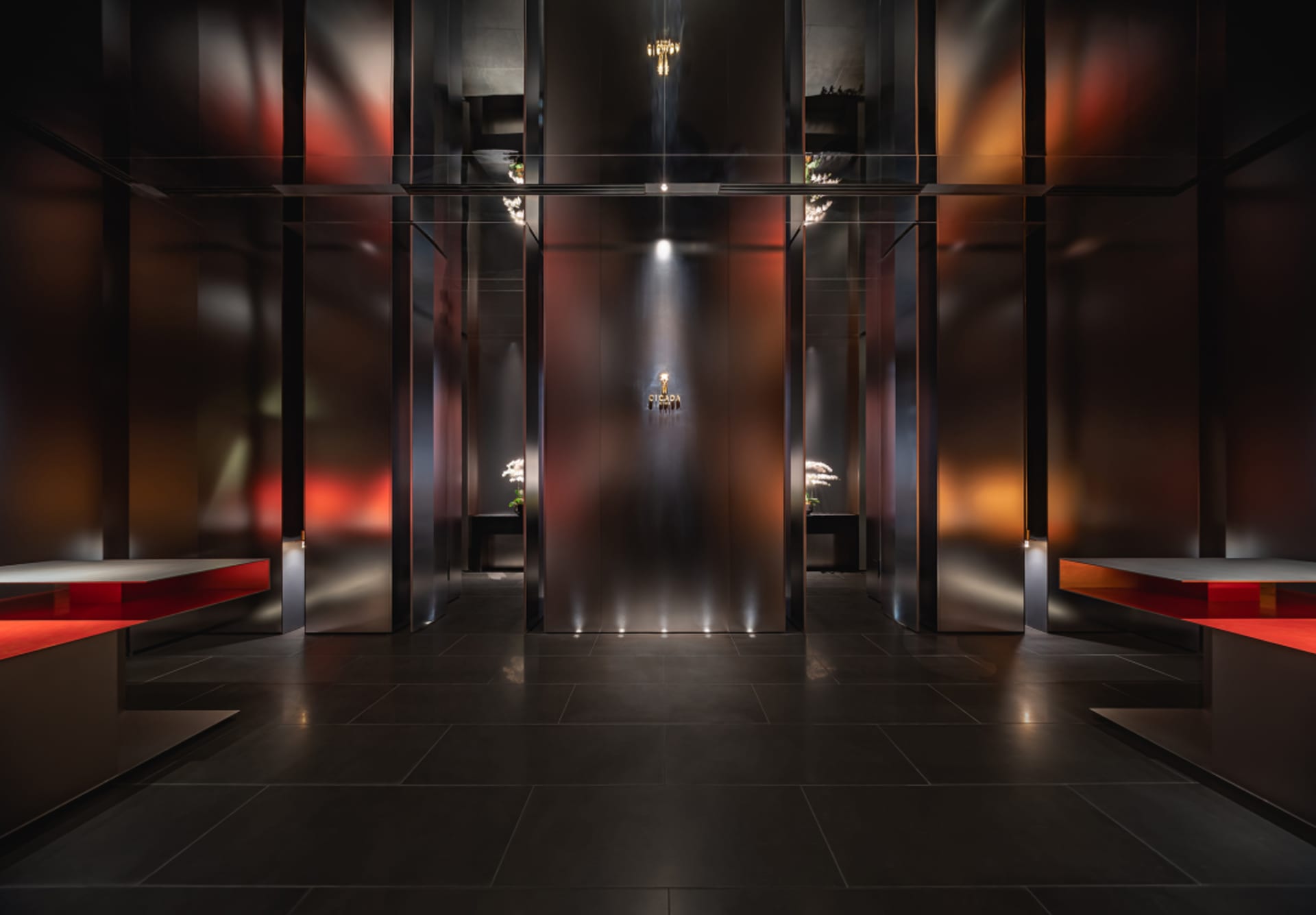 A modern hallway with a black tile floor, glass door, and potted plants, creating a sophisticated atmosphere with natural light