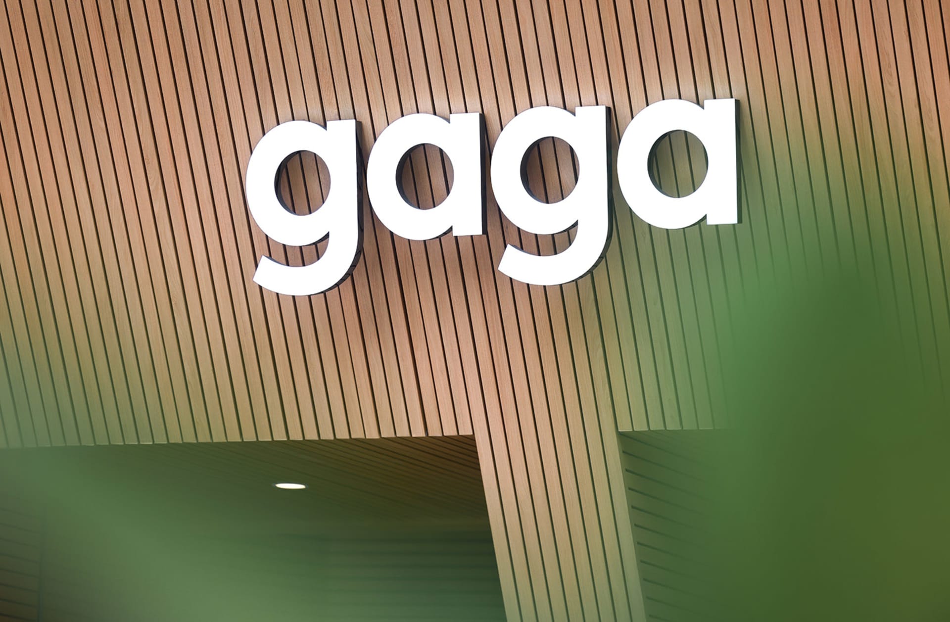 木質外牆的現代建築，設有大型「Gaga」招牌，呈現當代建築風格