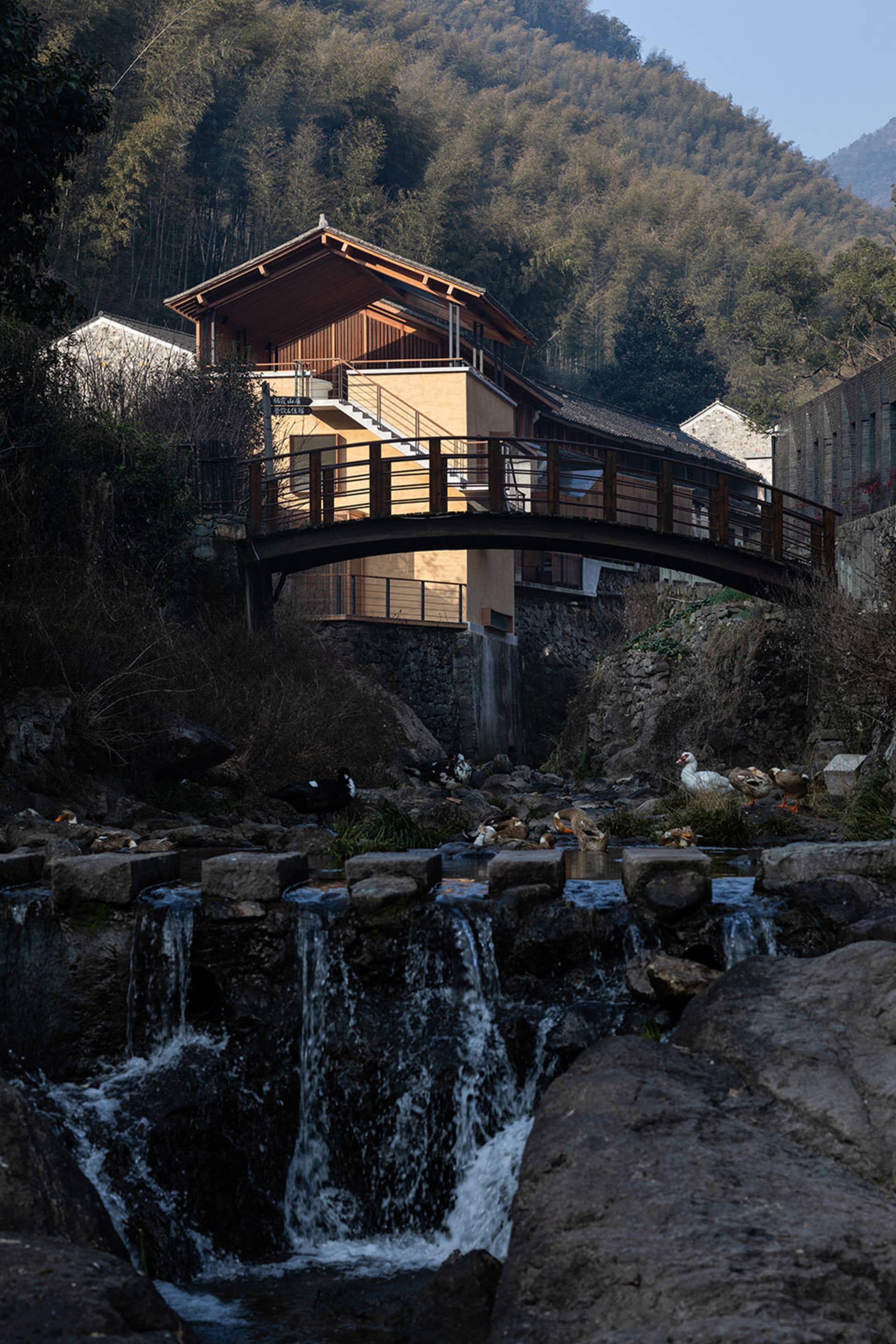 A wooden bridge crossing over a stream, surrounded by birds in a peaceful natural environment