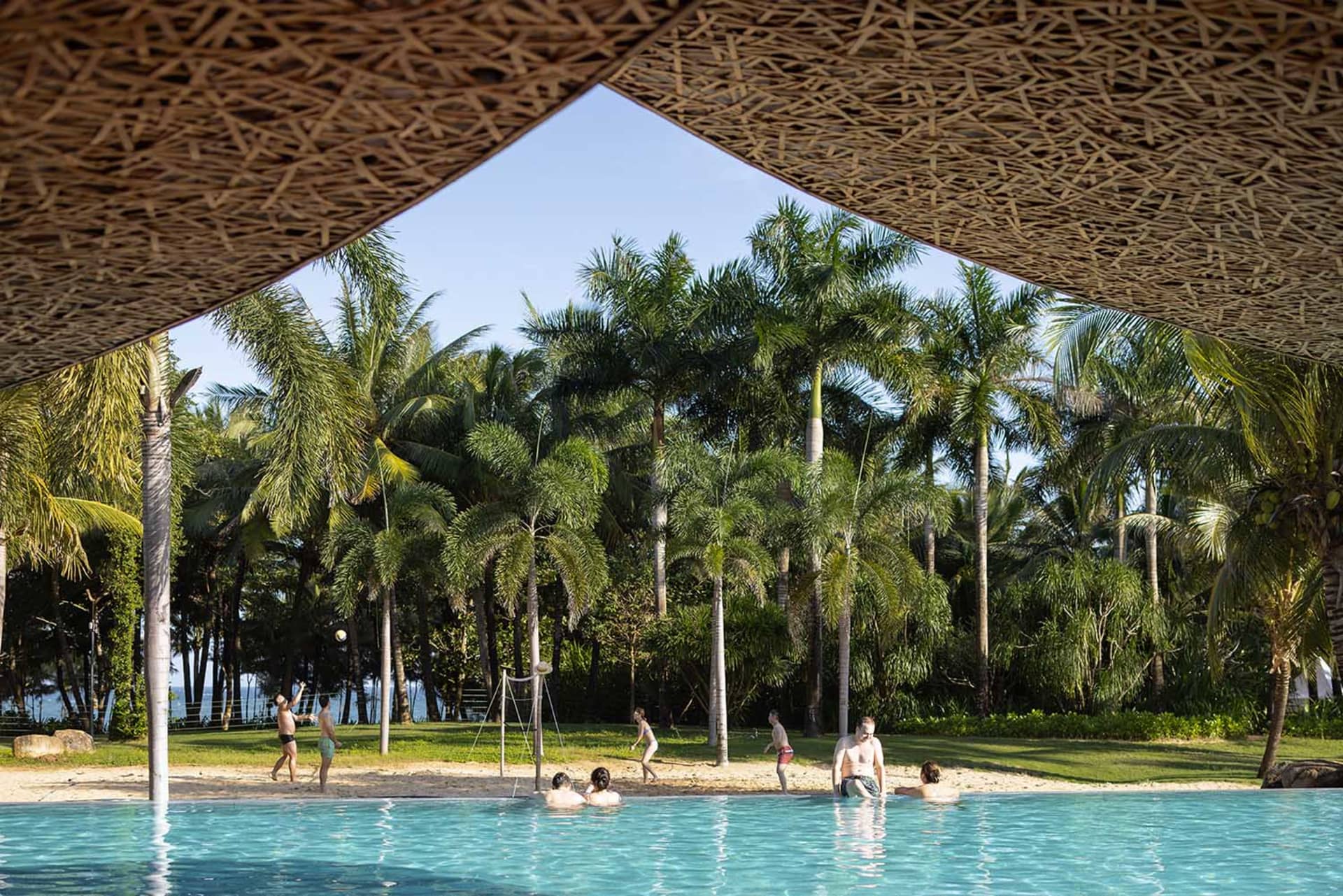 A pool surrounded by palm trees, with people swimming and lounging in the shade of an umbrella