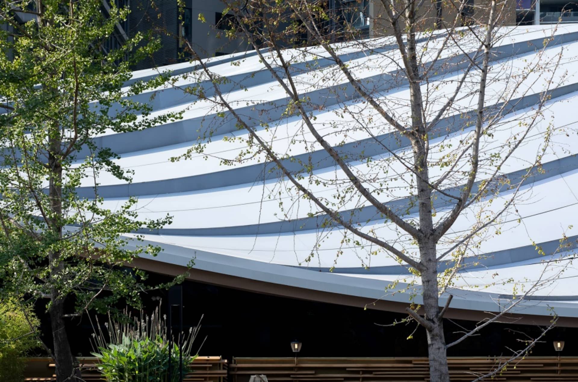 A modern building with a curved roof, surrounded by trees, in a contemporary architectural style
