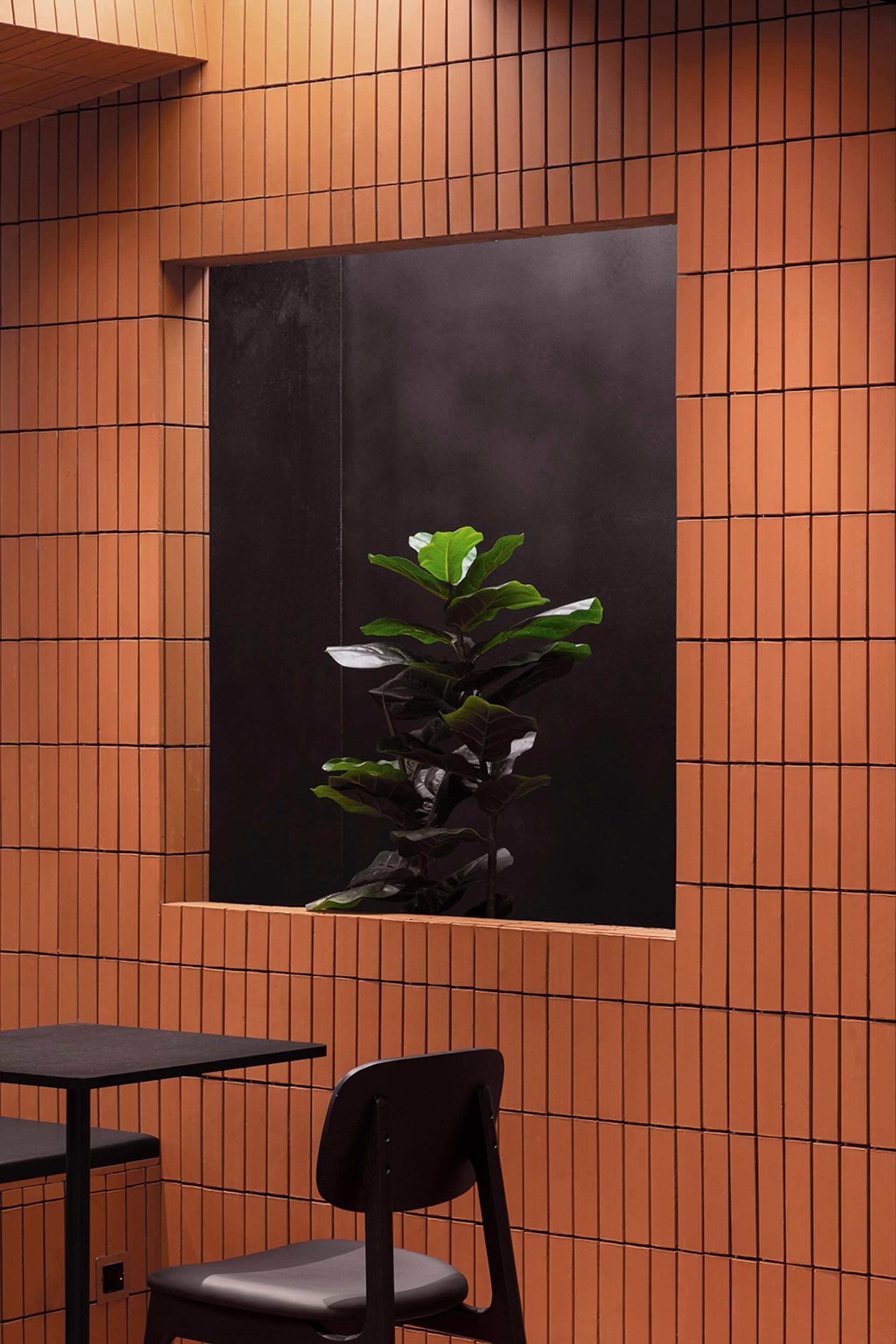 A home office with a potted leafy green tree in front of a window, two chairs, and a dining table