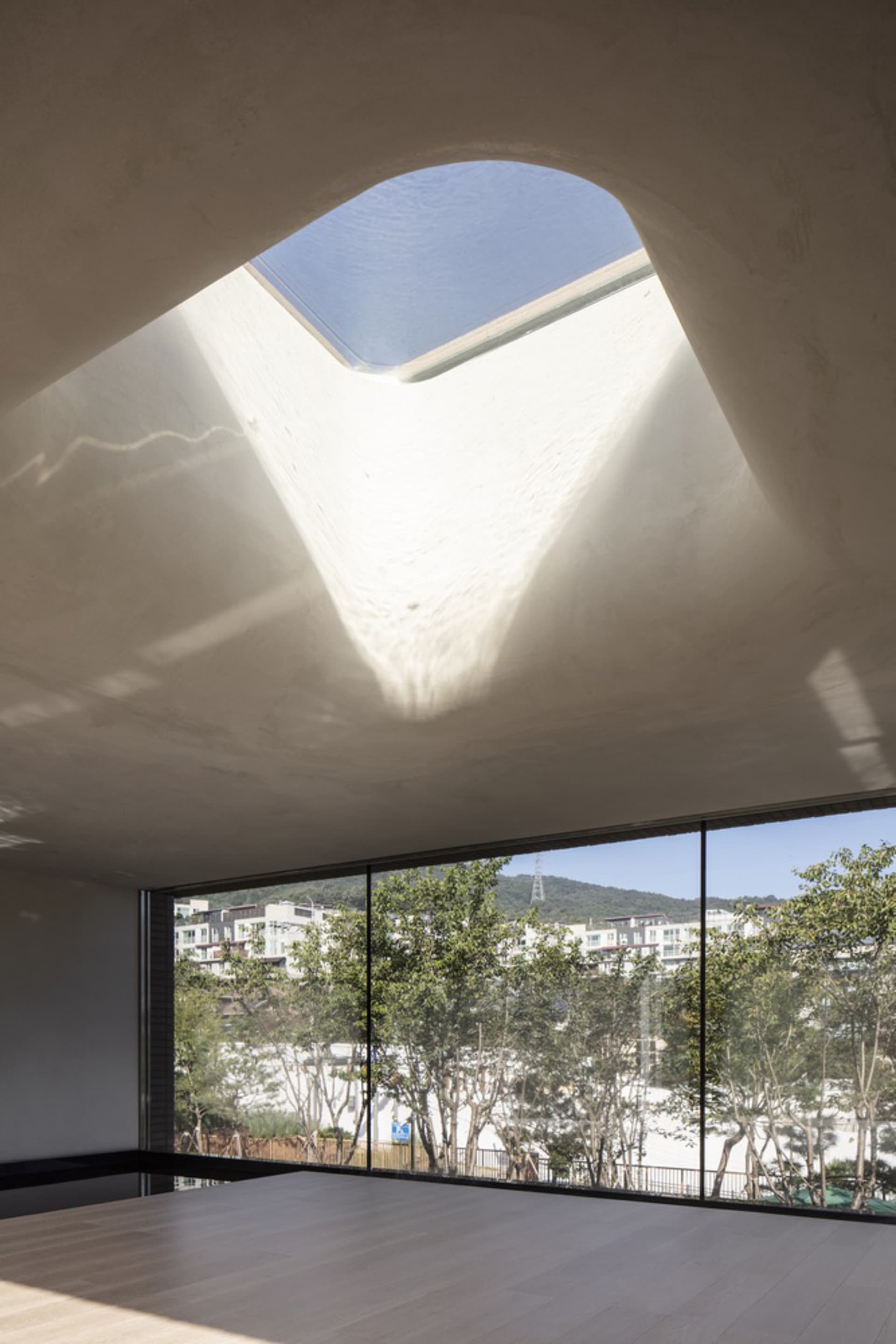 A modern living space with a skylight, trees outside, and a couch near the window