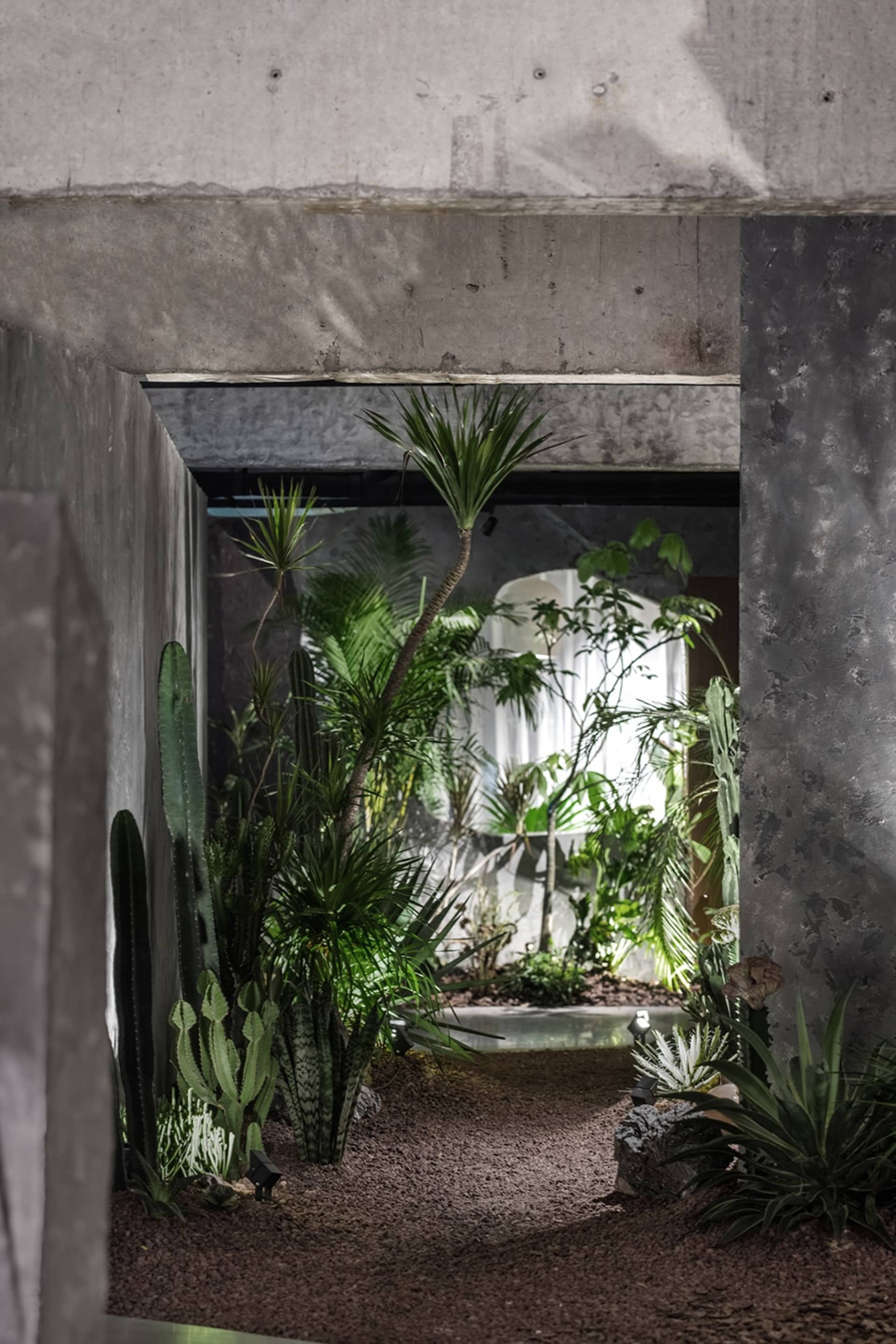 A living or dining area filled with multiple potted plants, vases, and a lush atmosphere