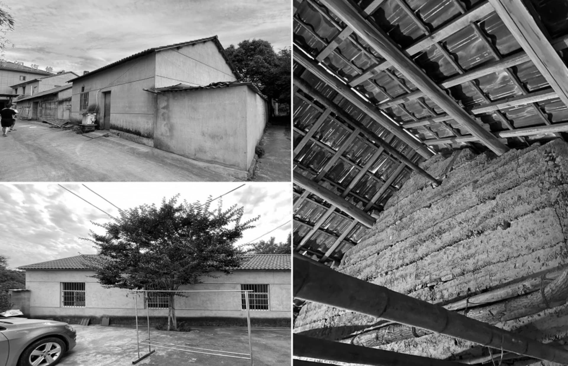 建築物前的樹木、正在興建的房屋，以及建築物內部帶有窗戶與門戶