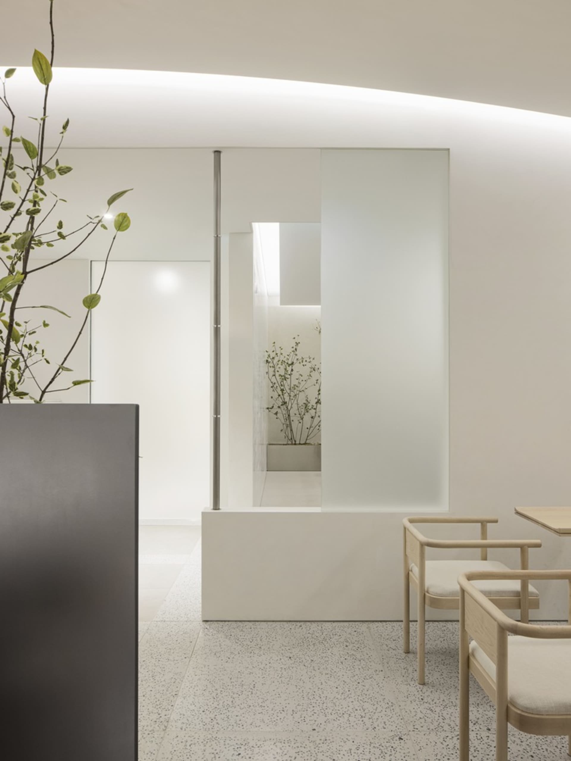 A bright and inviting room with a large mirror, potted plants, and a combination of living and dining areas