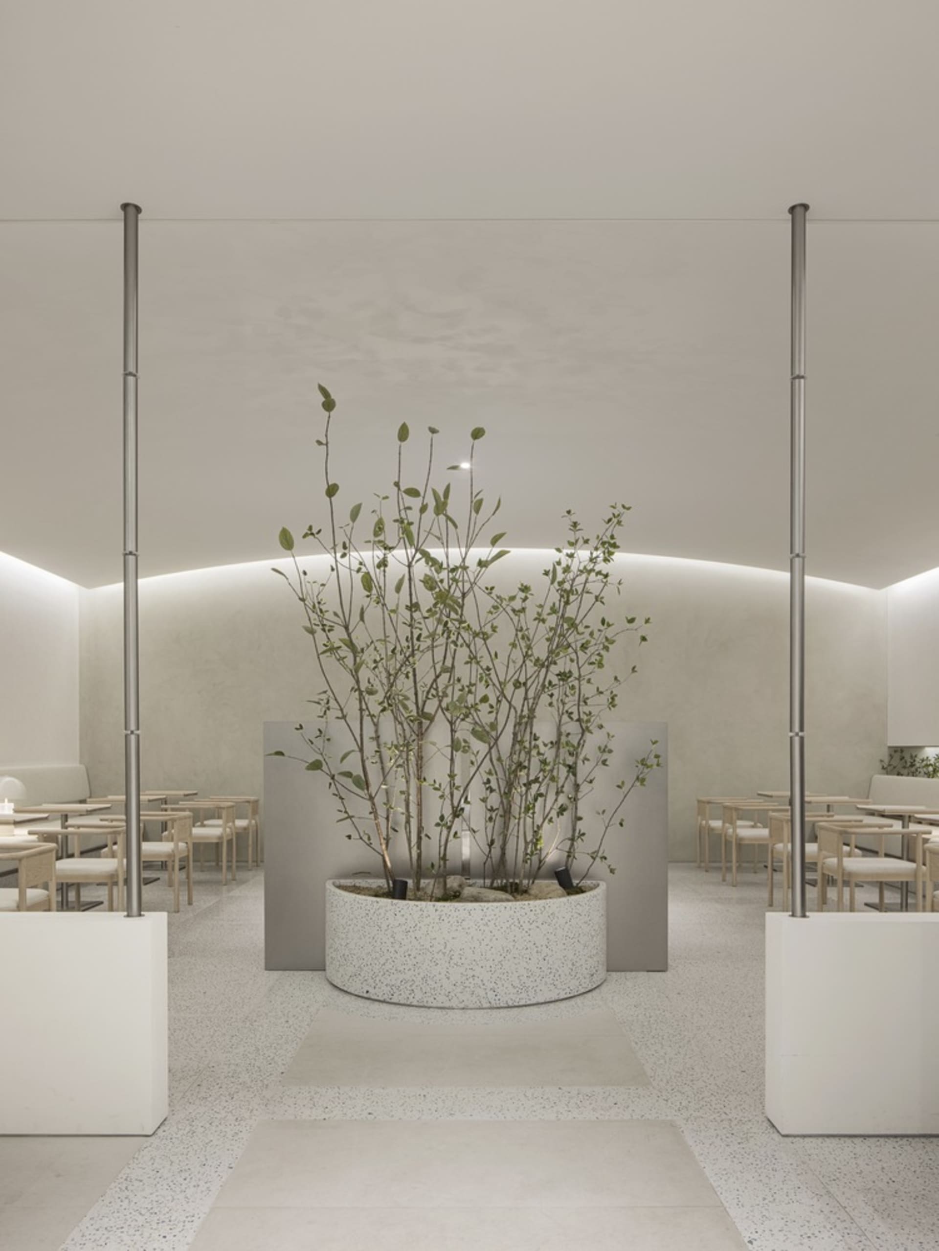 餐廳內部擁有大型中央植物、多張椅子與餐桌，營造溫暖親切的氛圍