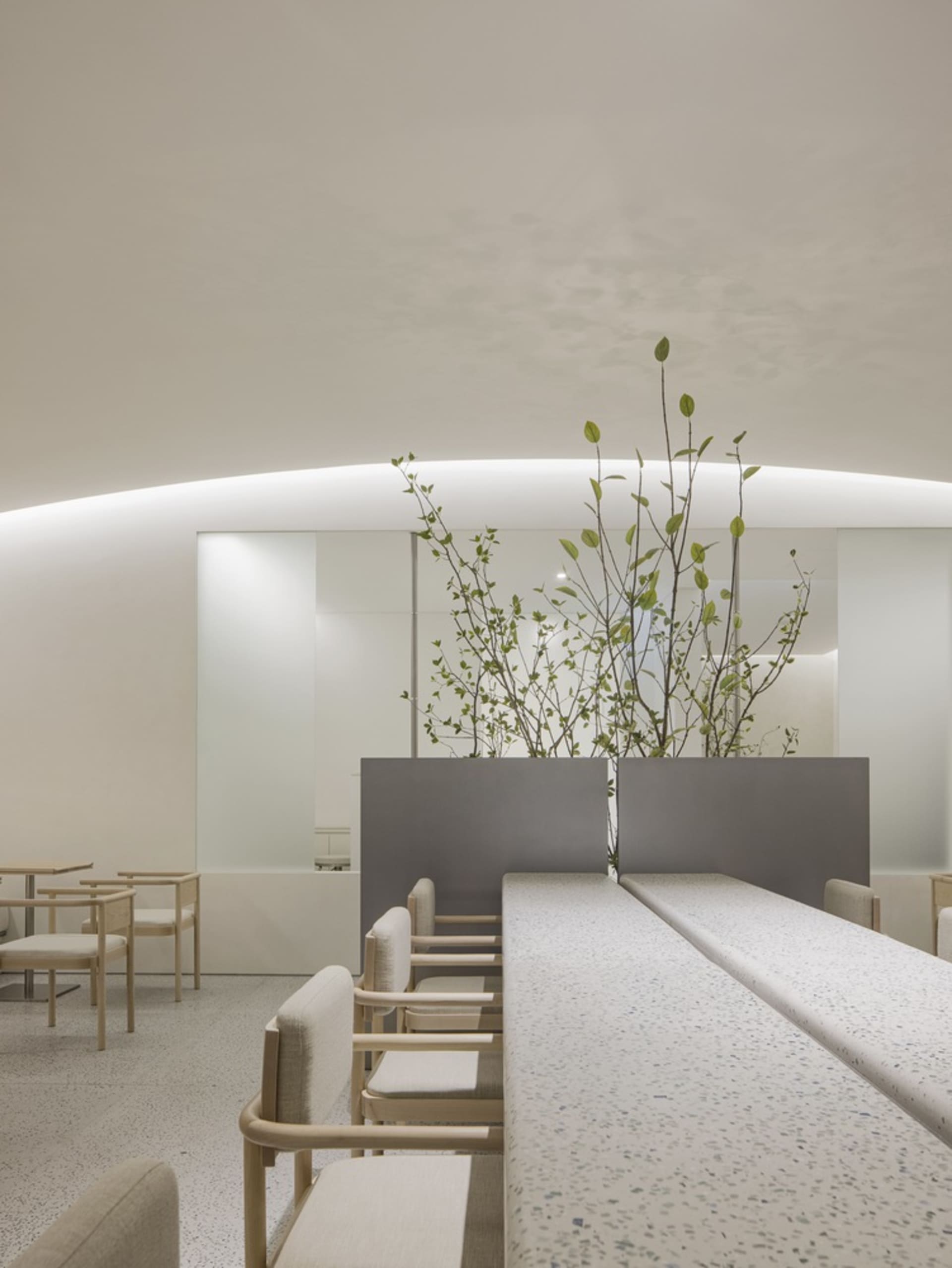 A modern restaurant dining area with multiple tables and chairs, adorned with potted plants and a clean, minimalistic ambiance