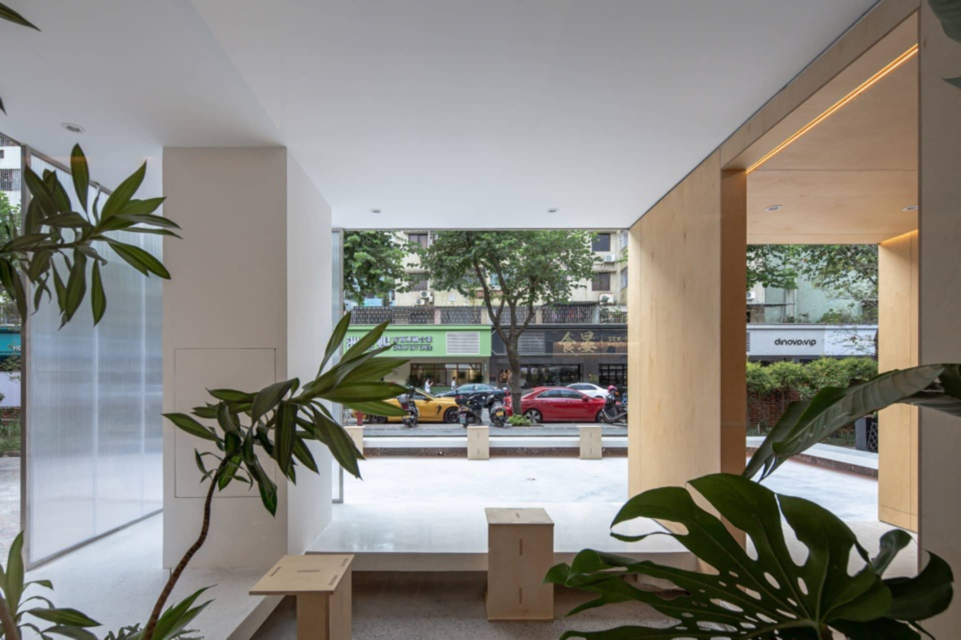 A well-lit interior space with a bench, potted plants, and two benches, creating a comfortable and inviting atmosphere