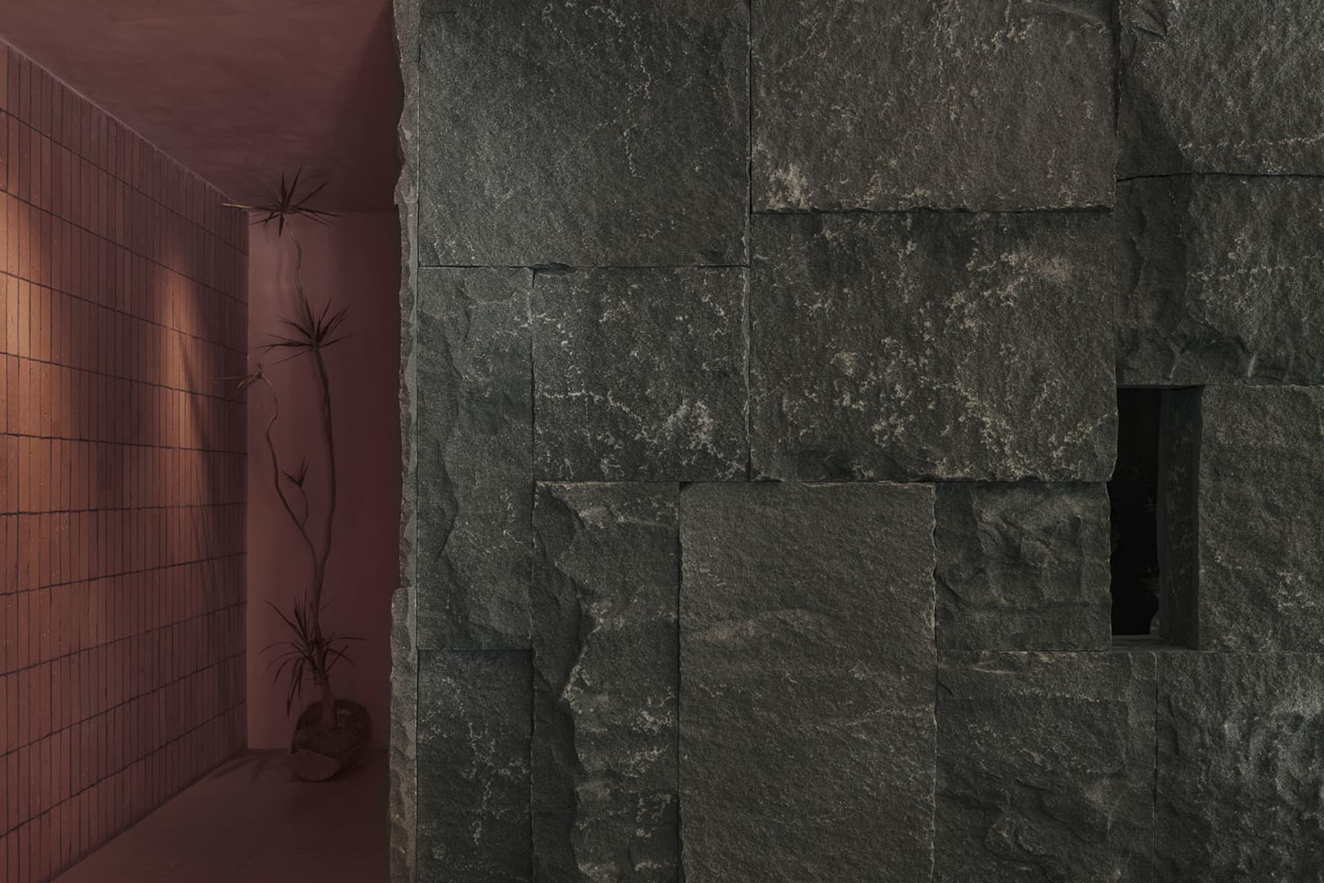 Dark interior space with a stone wall and a red brick wall, featuring two potted plants and a moody atmosphere