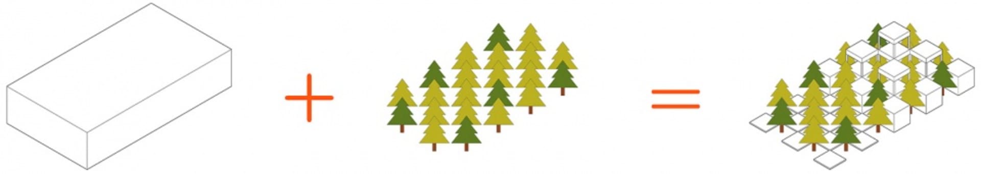 A serene forest scene with pine trees in various sizes and directions, creating a sense of tranquility and connection to nature