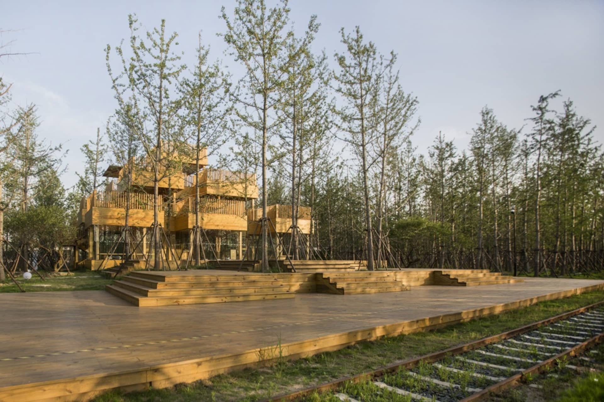 A wooden building surrounded by trees, blending traditional and modern design elements, with a harmonious balance between indoor and outdoor spaces