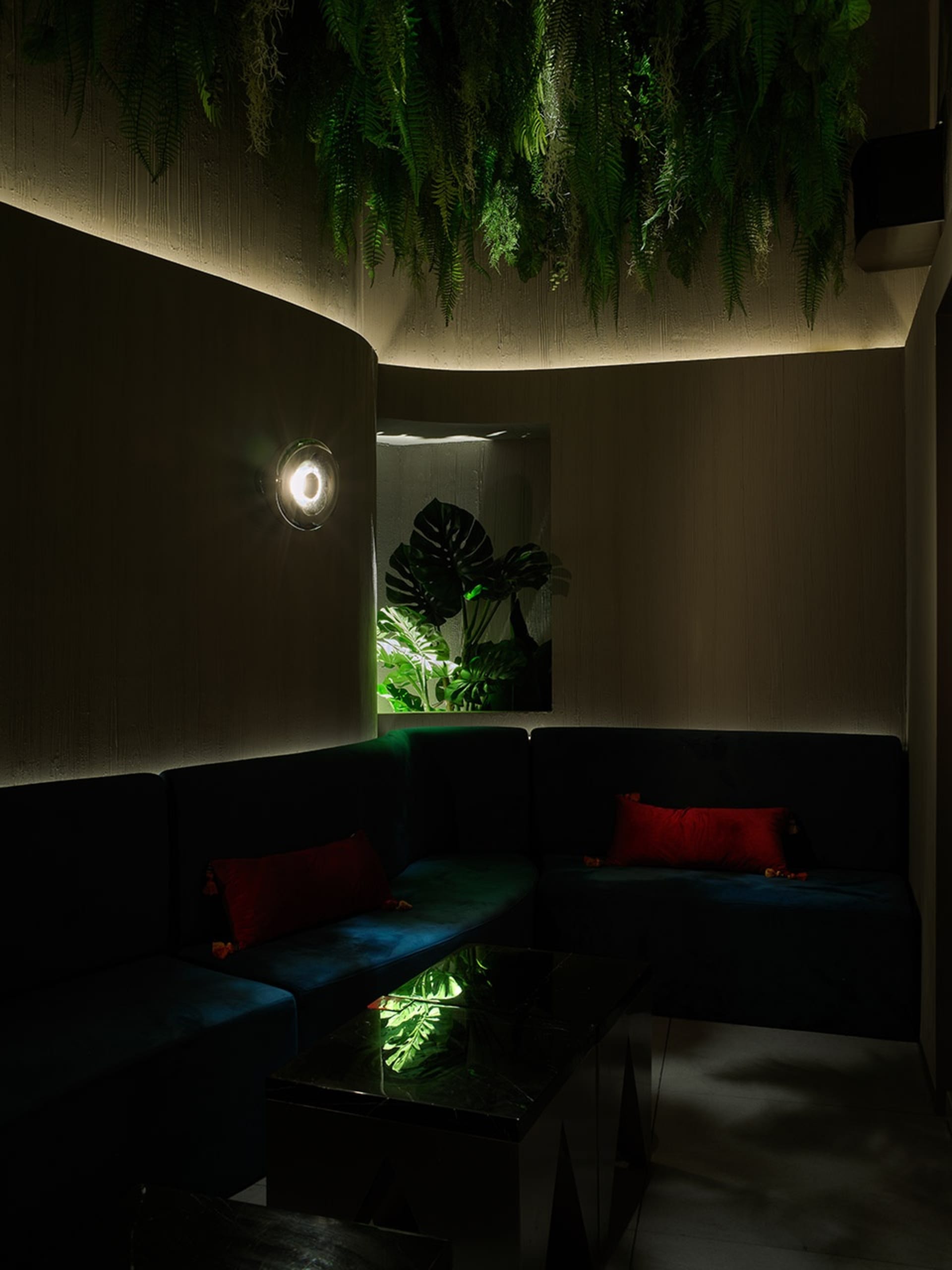 Cozy living space with two couches, a glass table, and potted plants
