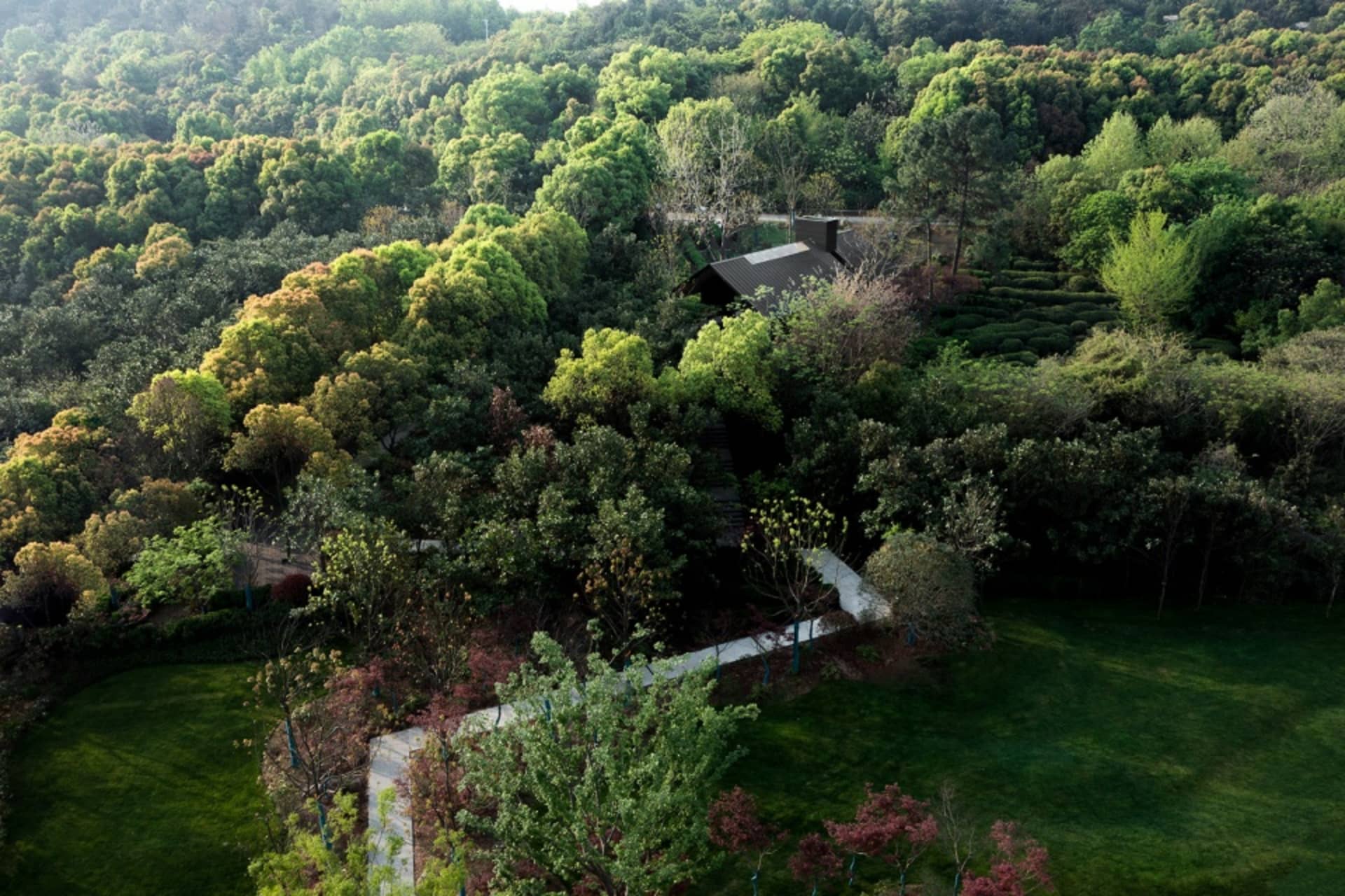 A serene house with a black roof surrounded by trees in a forest setting