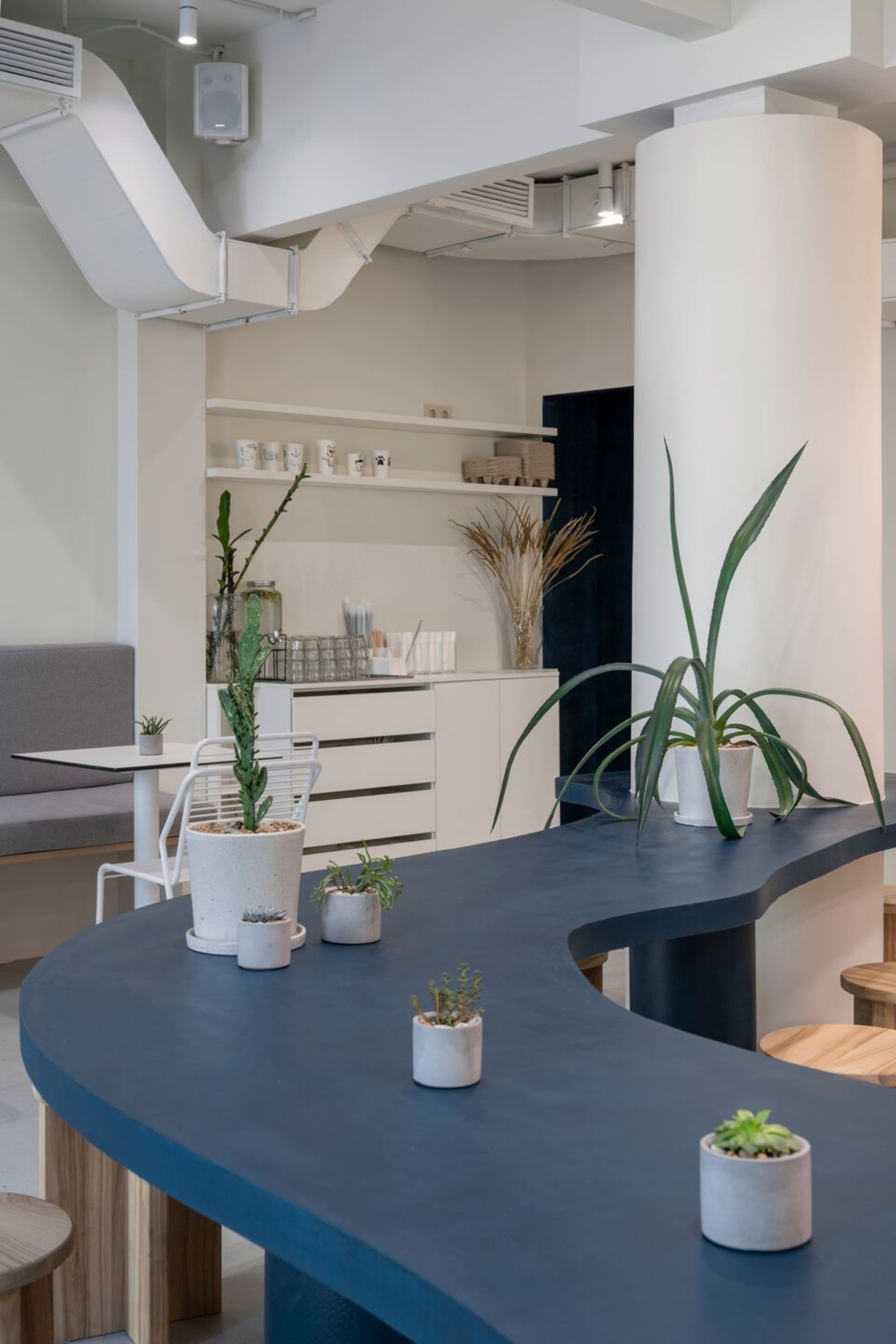A warm and inviting living area with a wooden countertop, potted plants, and scattered cups, creating a comfortable and functional space