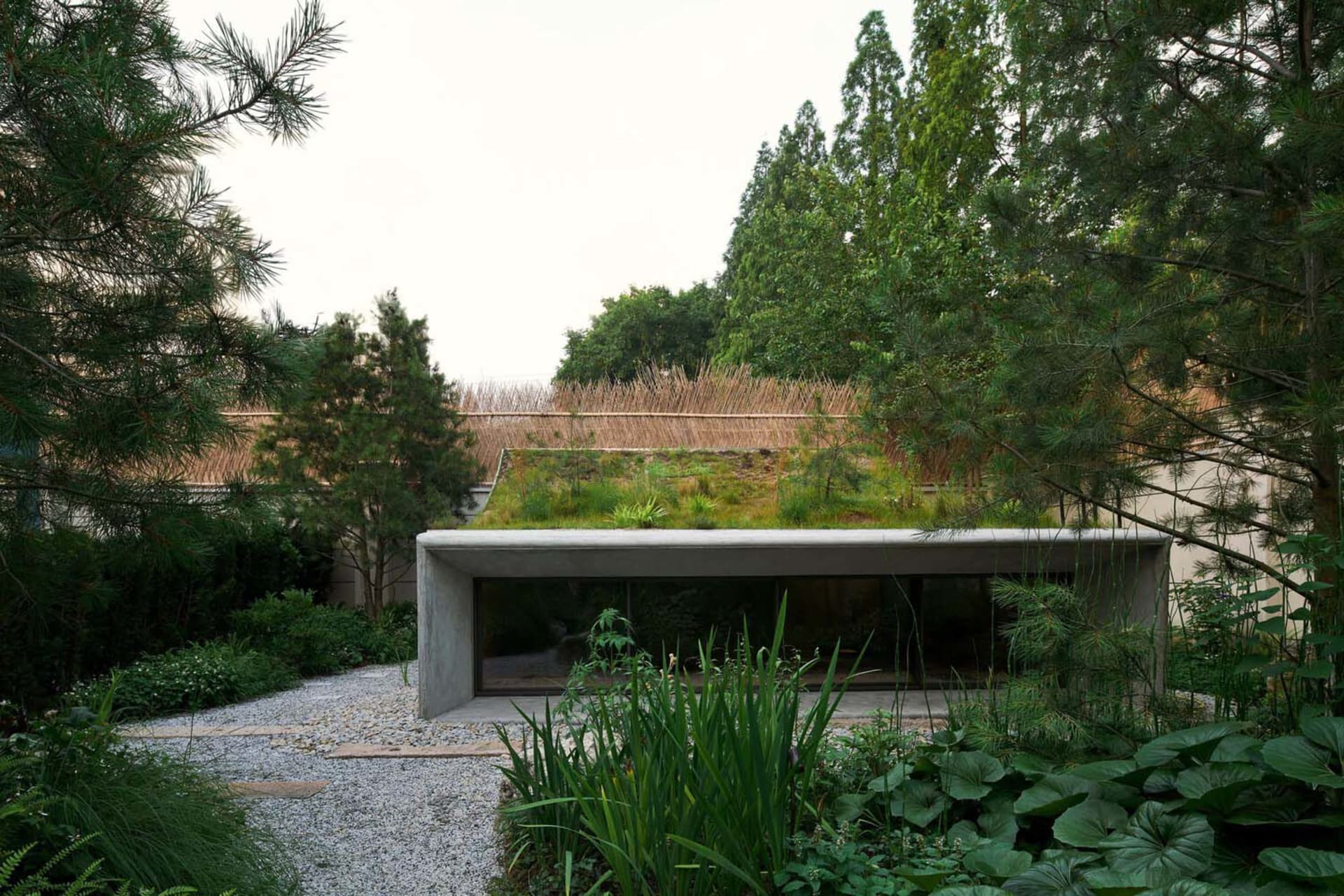 A modern house with a green roof, surrounded by trees, featuring a large window and two smaller windows, in a calm and serene atmosphere