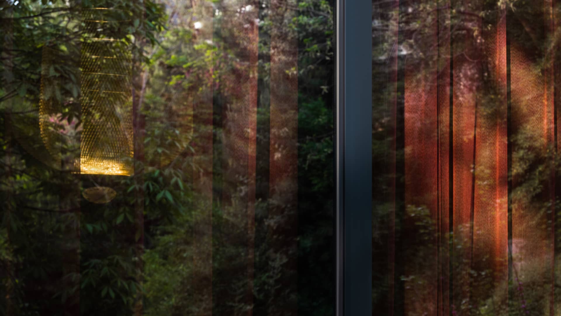 a serene forest view through a window with trees and greenery outside, featuring wood and leaves, and natural sunlight