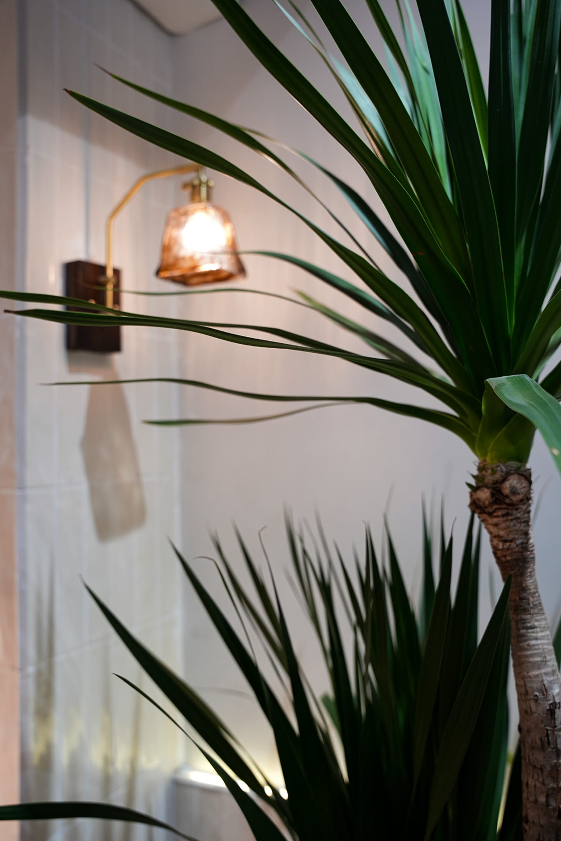 A calm and inviting home office space with a large potted plant, two smaller plants, and a gold lamp on a white wall