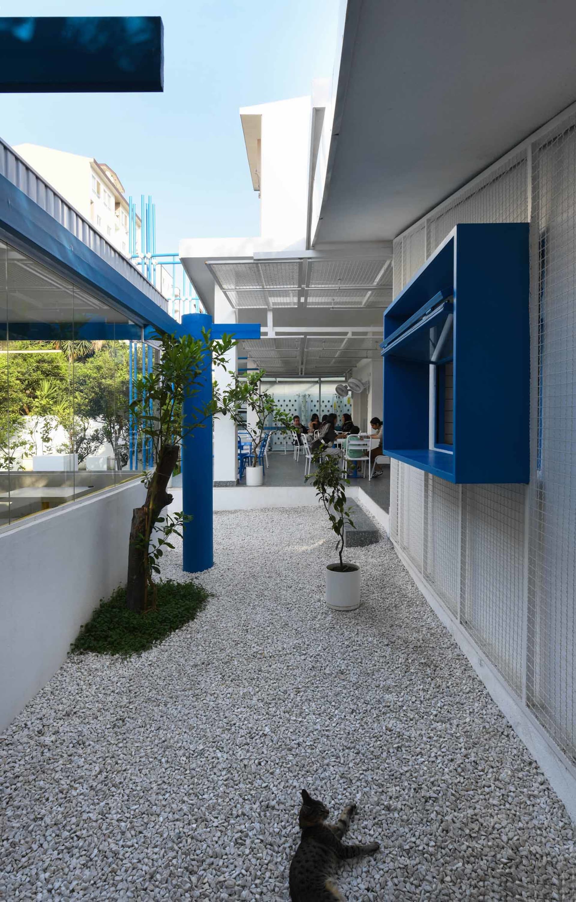輕鬆室內空間，白色牆面、藍色點綴與盆栽，配有椅子與餐桌