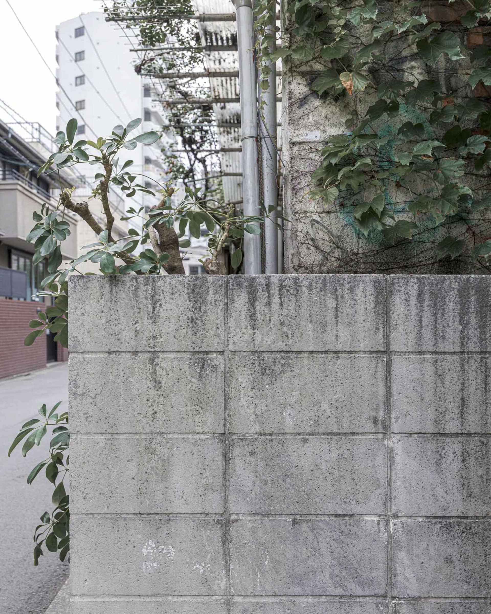A public space with a concrete wall covered in ivy, featuring potted plants and two benches in a garden setting