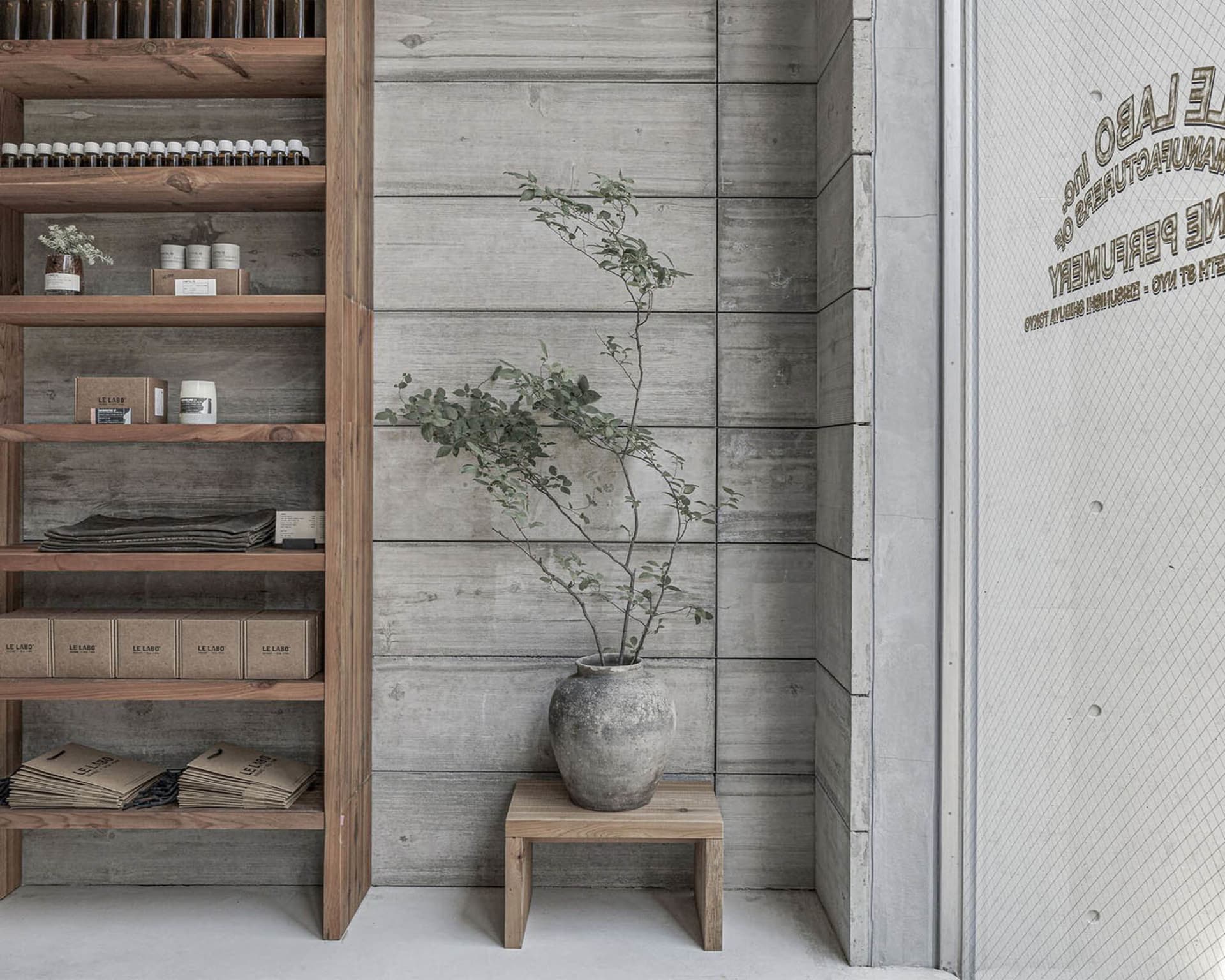 A cozy study with a wooden bookshelf, potted plant, and various items on the shelves, creating a warm and inviting atmosphere