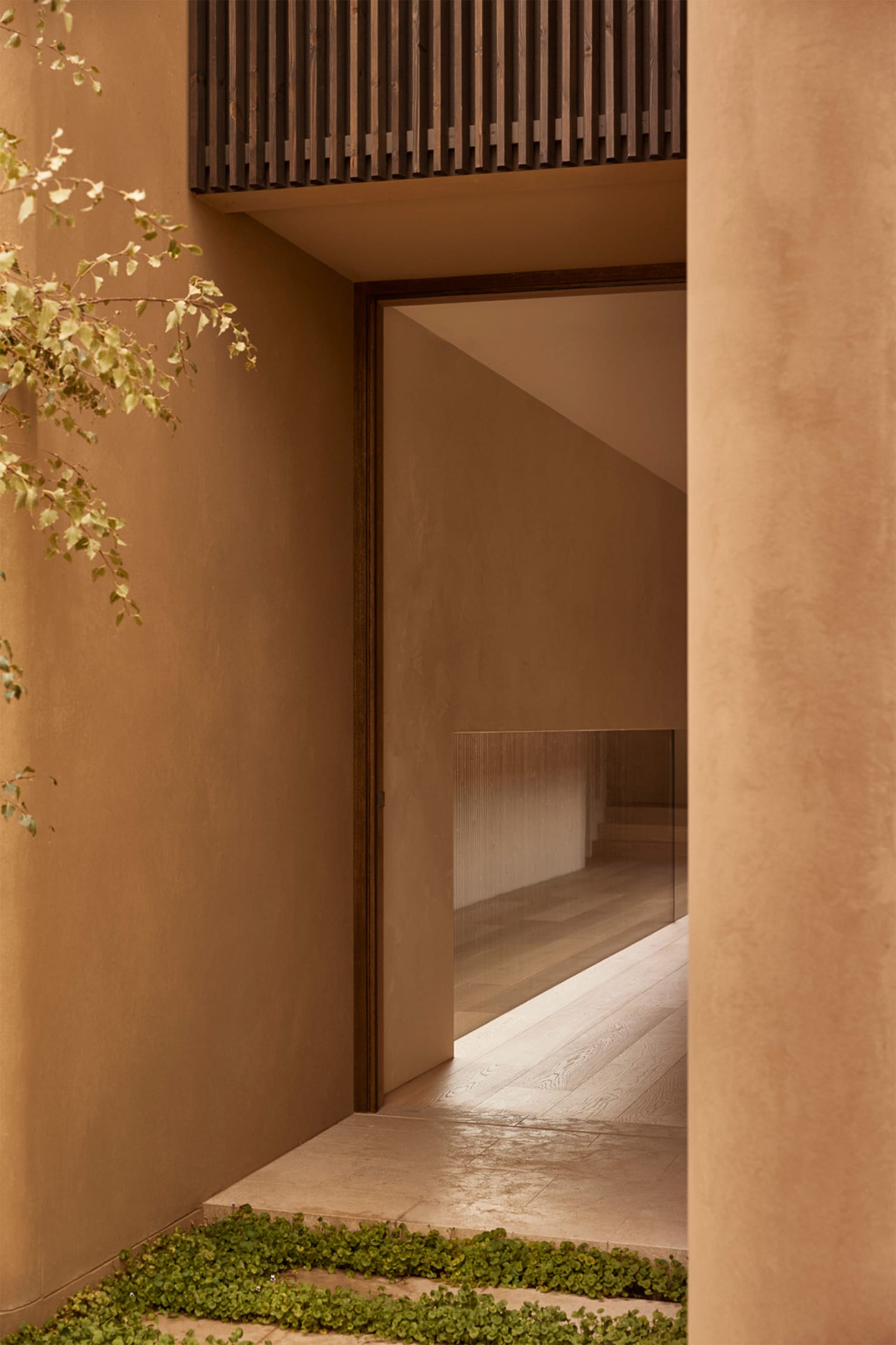 A calm and inviting hallway with a wooden floor, concrete walls, and two potted plants near the entrance